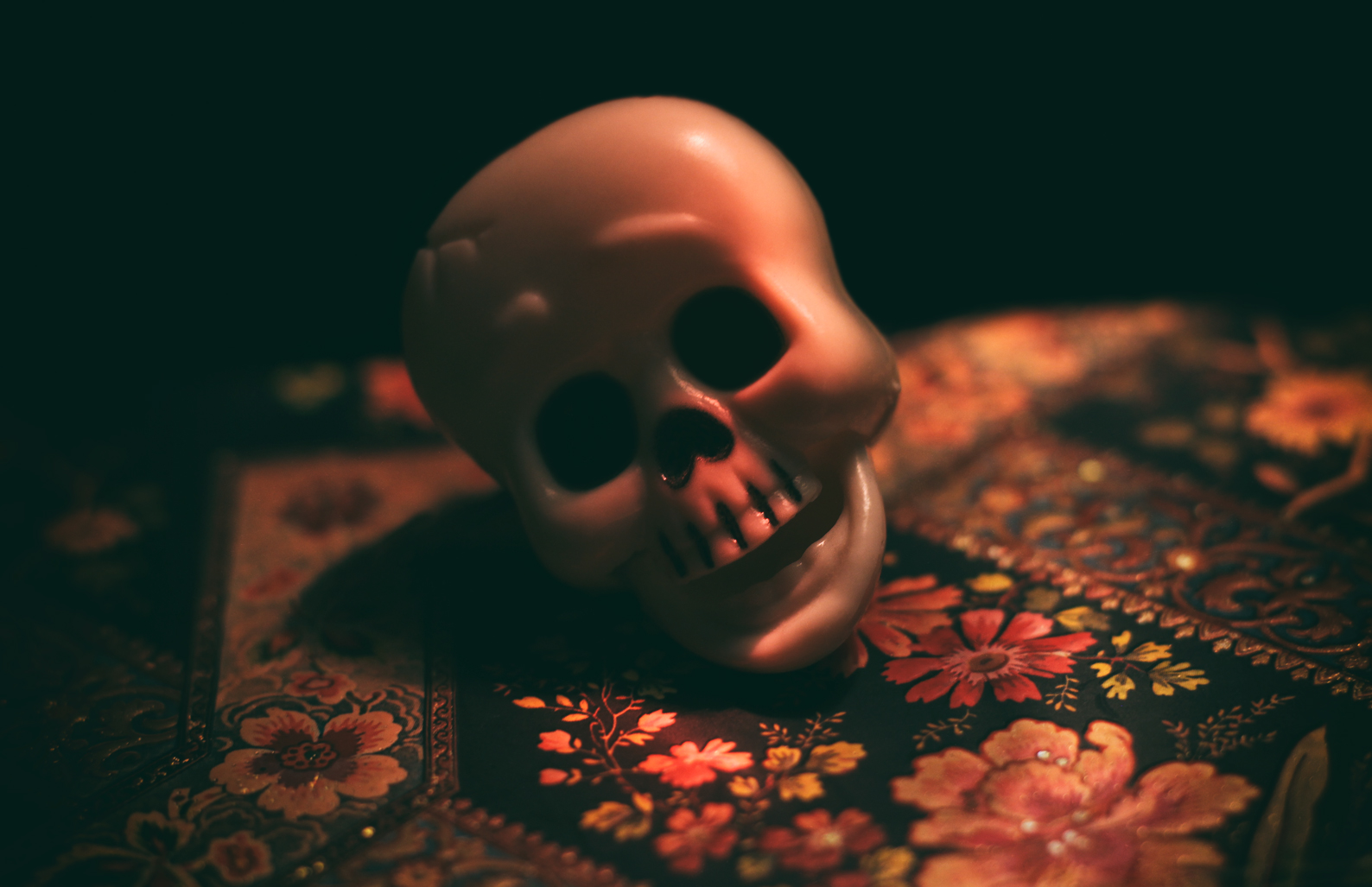 Still Life. Dead Life., Digital