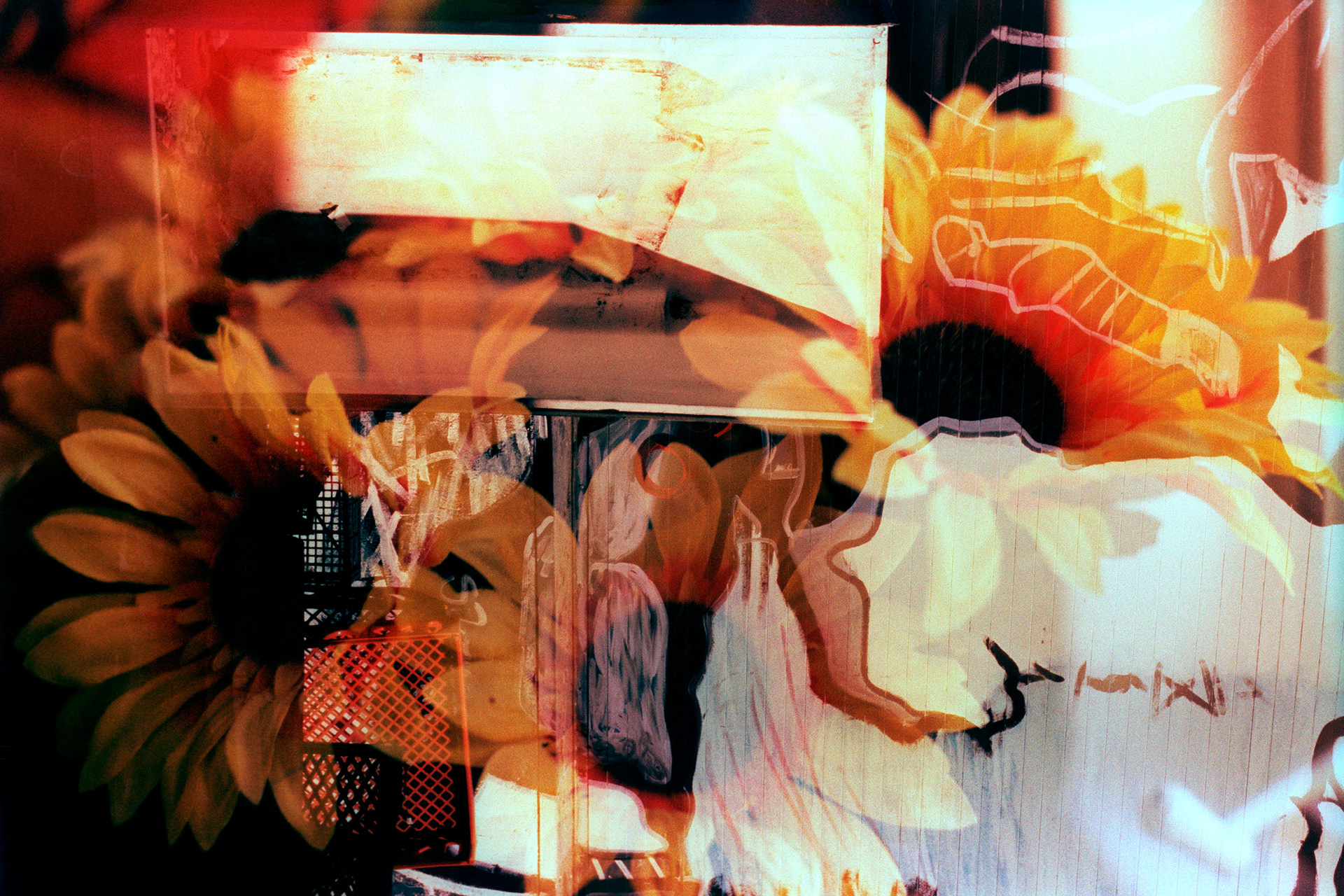 Industrial Nature, Cross-processed 35mm film