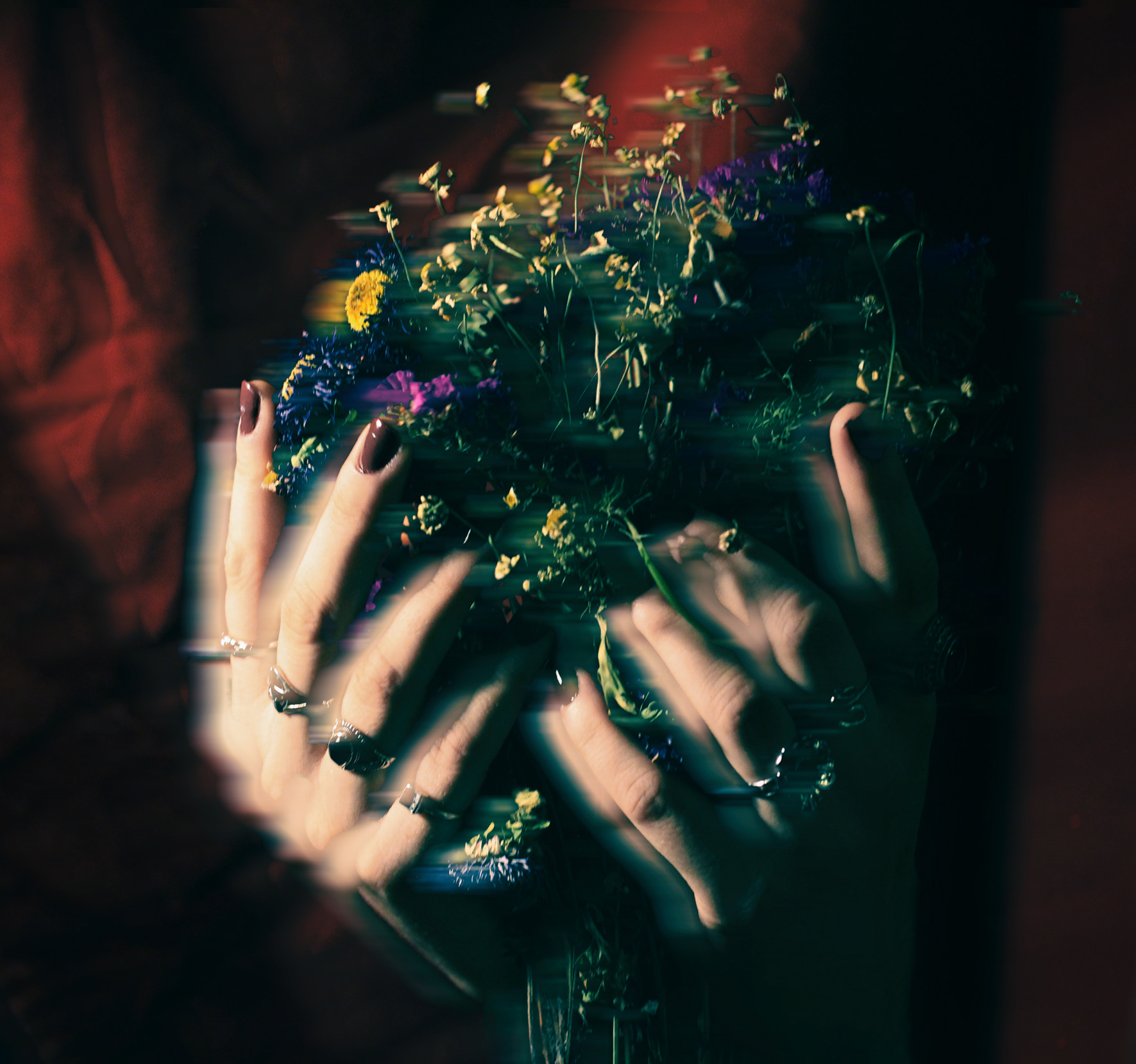 Thanks for the Fun, Digital