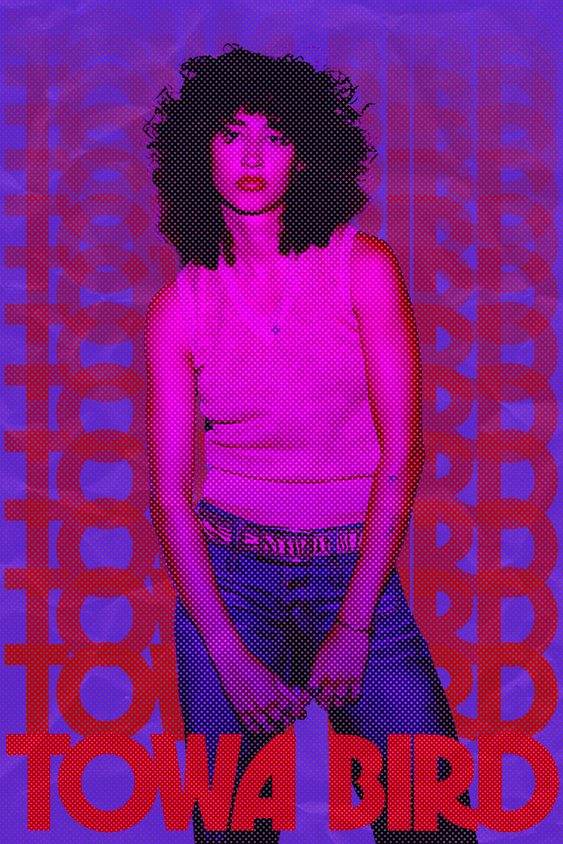 Mock poster for the artist Towa Bird.