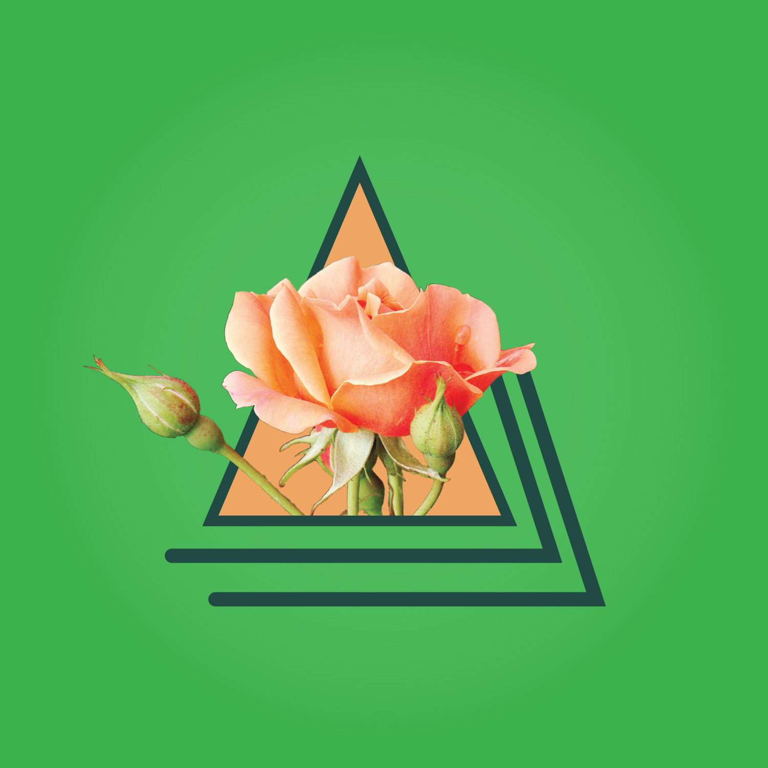 Artwork draft 5