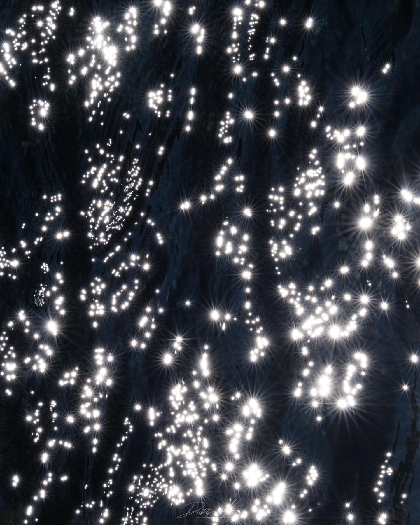 Stars Carried by The Tide