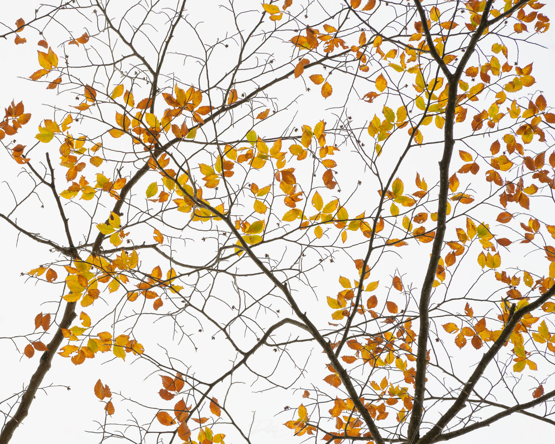 View When you Look Up