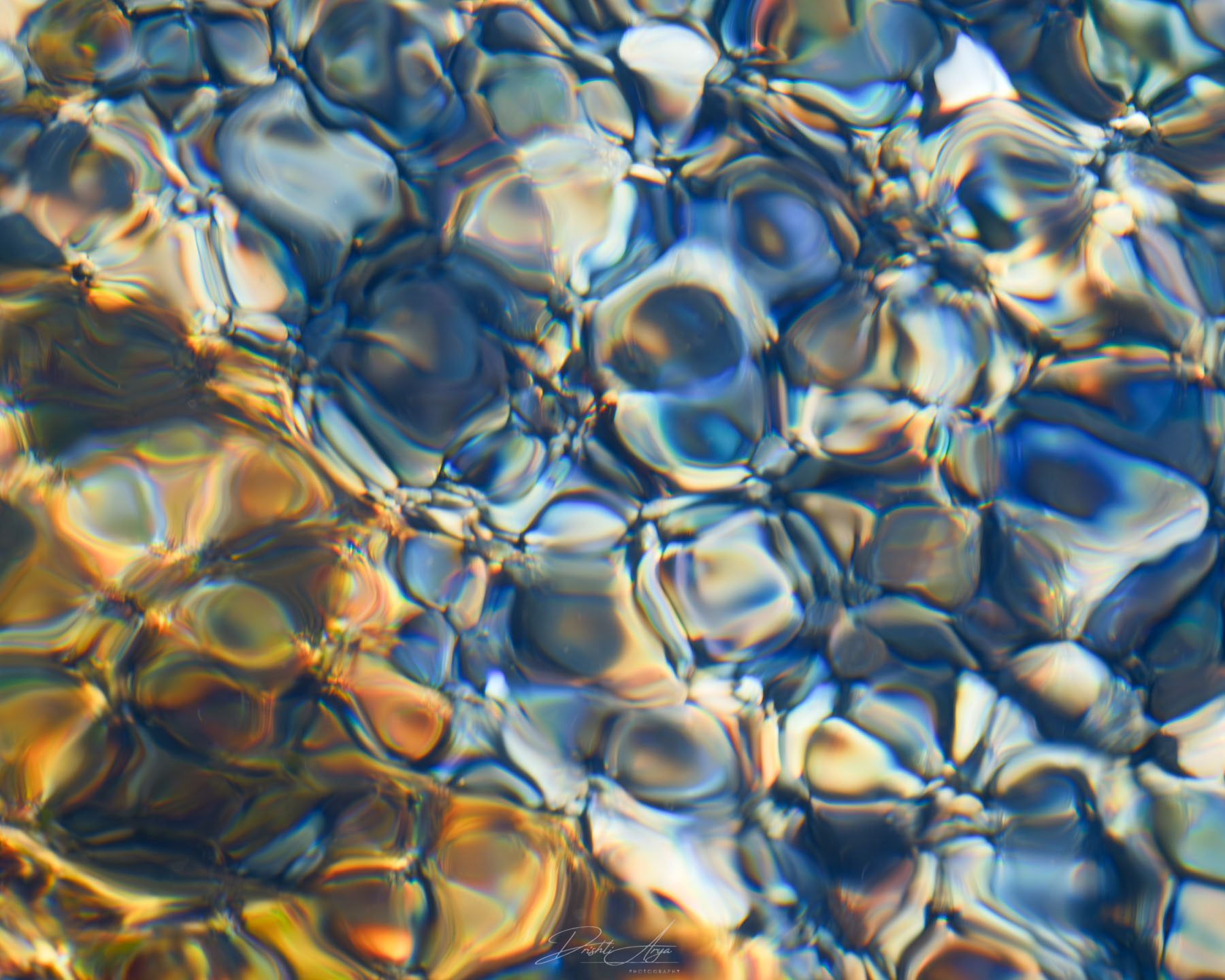 Marblehead Reflections