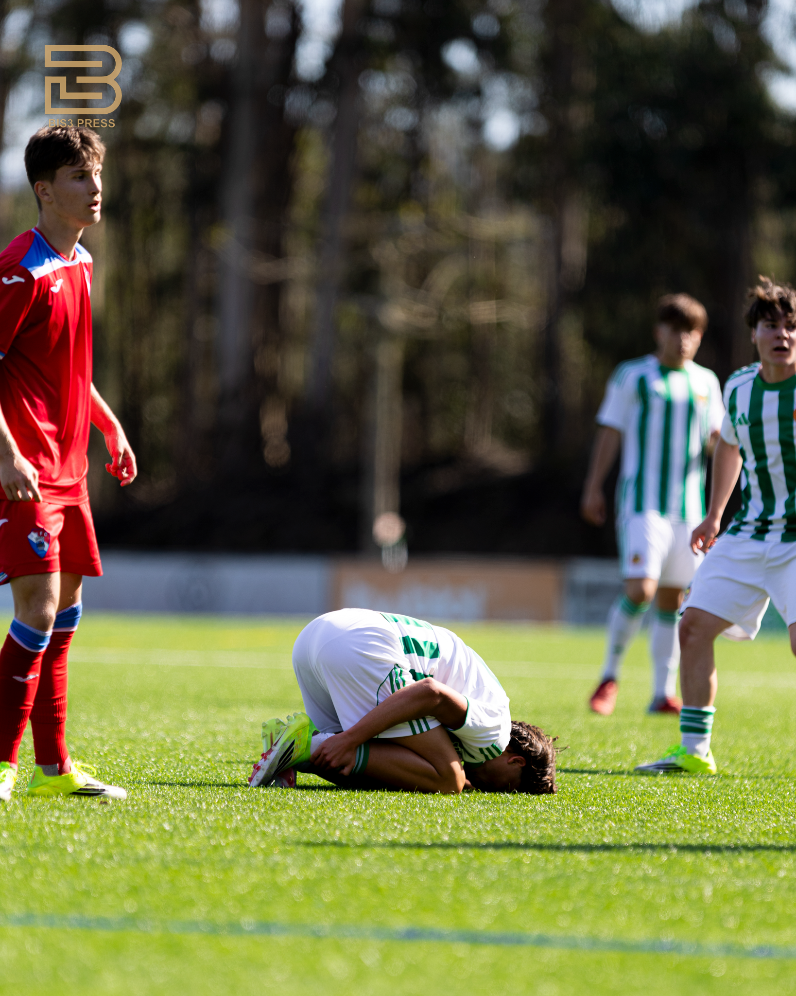 Sofia Garrido / BIS3 PRESS