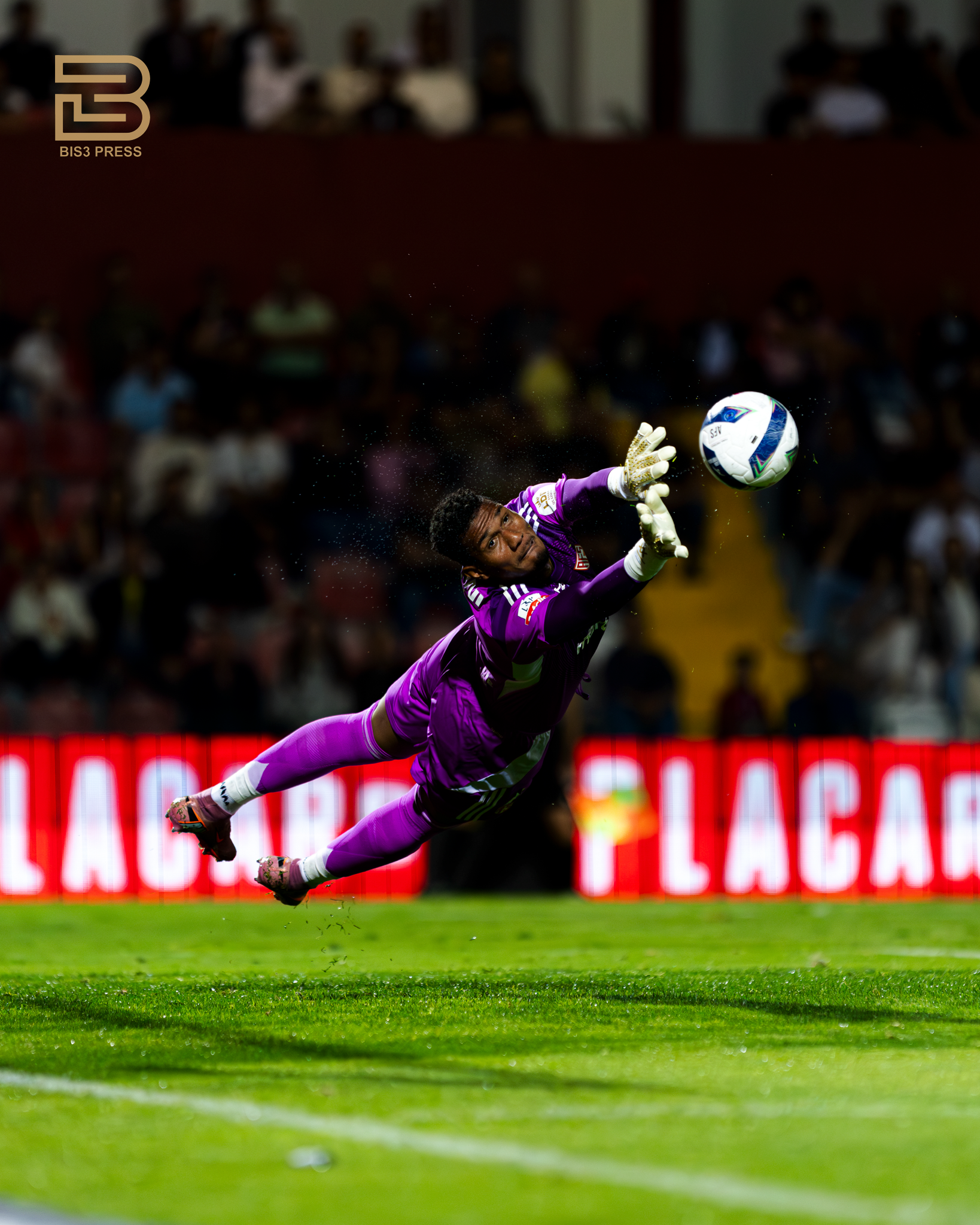Sofia Garrido / BIS3 PRESS