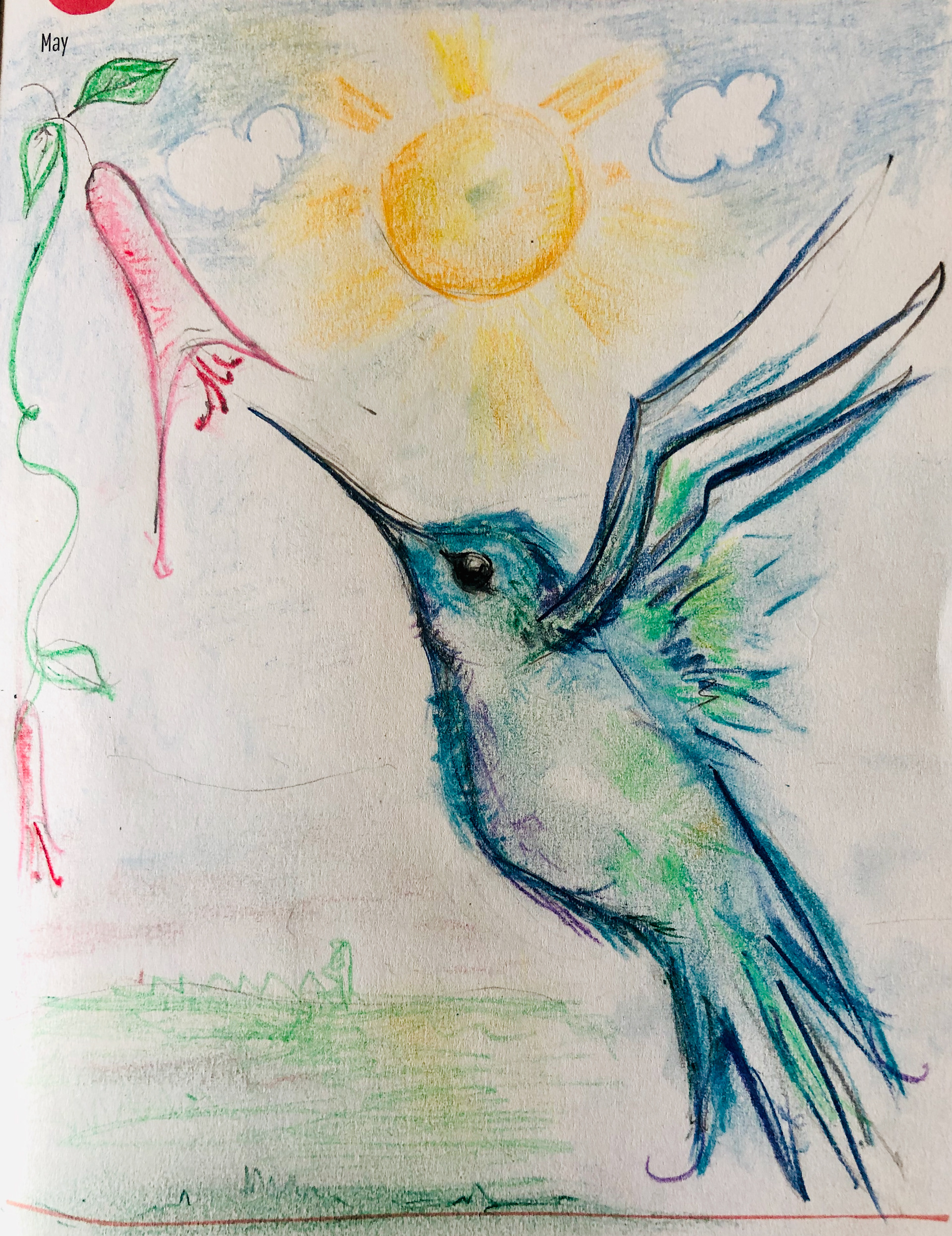 HUMMINGBIRD JOY