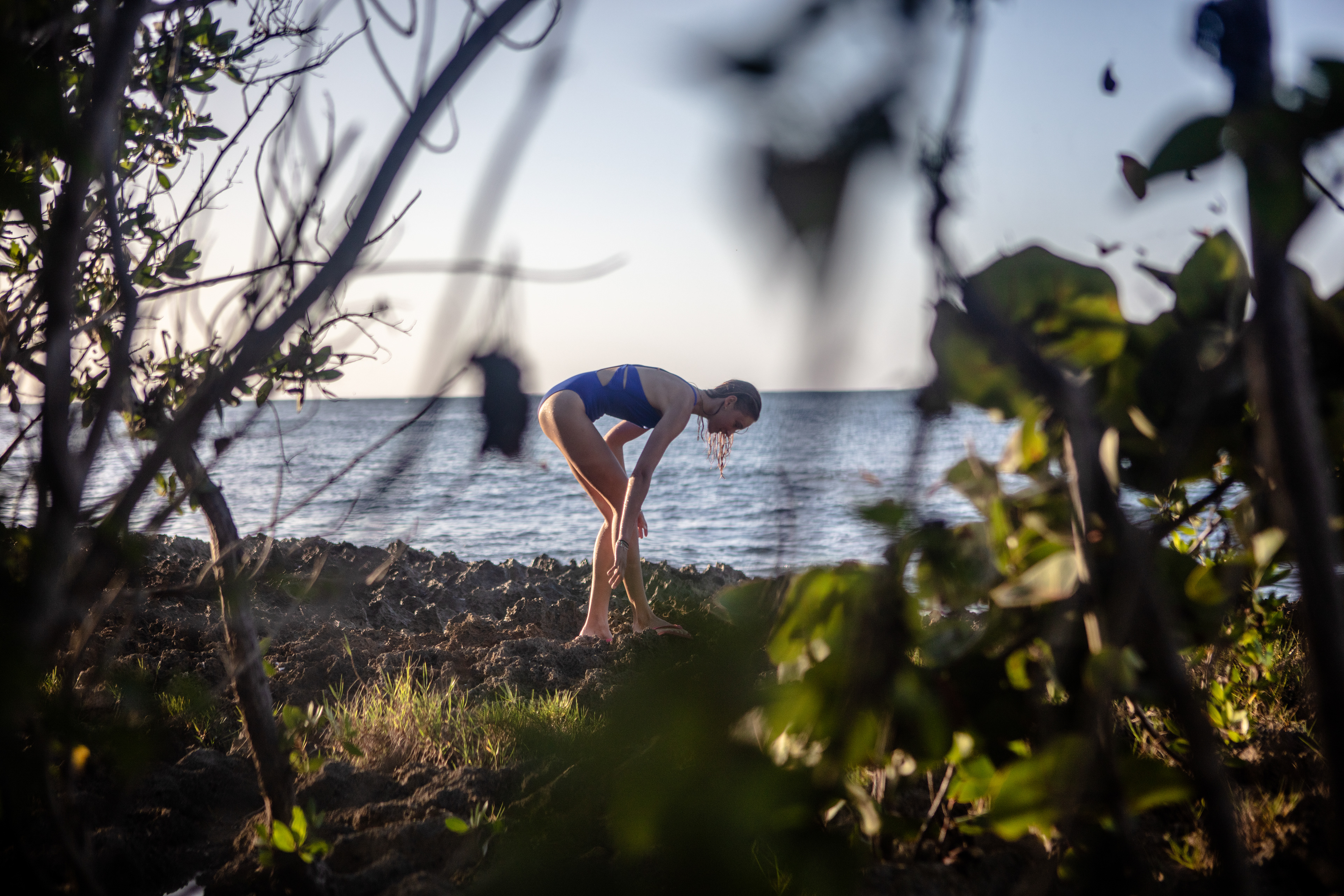 Collaboration - Shan