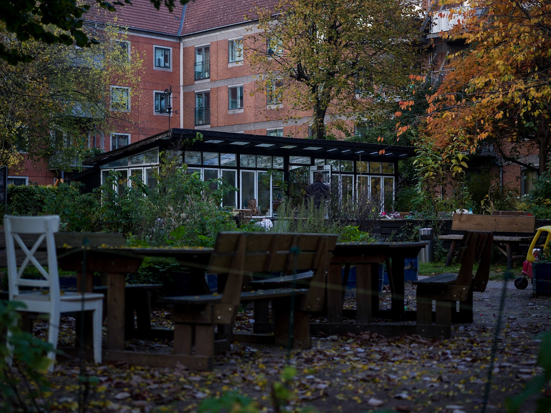 Drivhus (Blågårdsgade-Baggesensgade-Todesgade- Blågårds Plads)