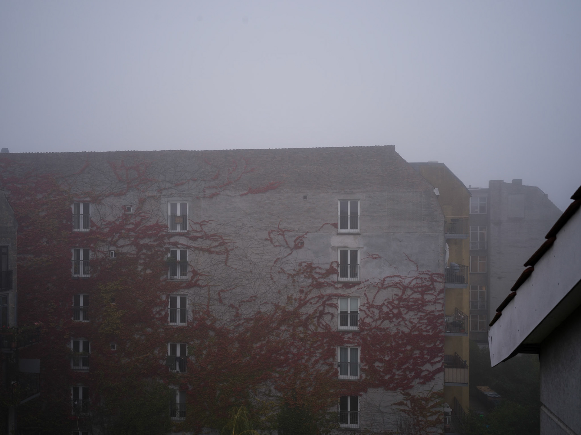 Fra Det Genanvendte Hus I (Korsgade-Blågårdsgade-Baggesensgade-Wesselsgade)