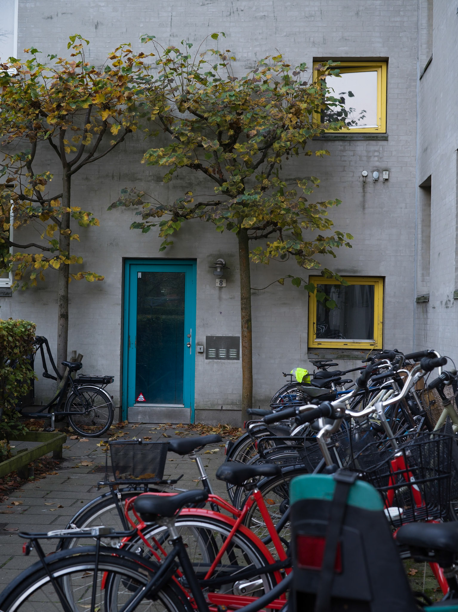 Køkkendør (Peblinge Dossering- Baggesensgade-Blågårdsgade-Nørrebrogade)