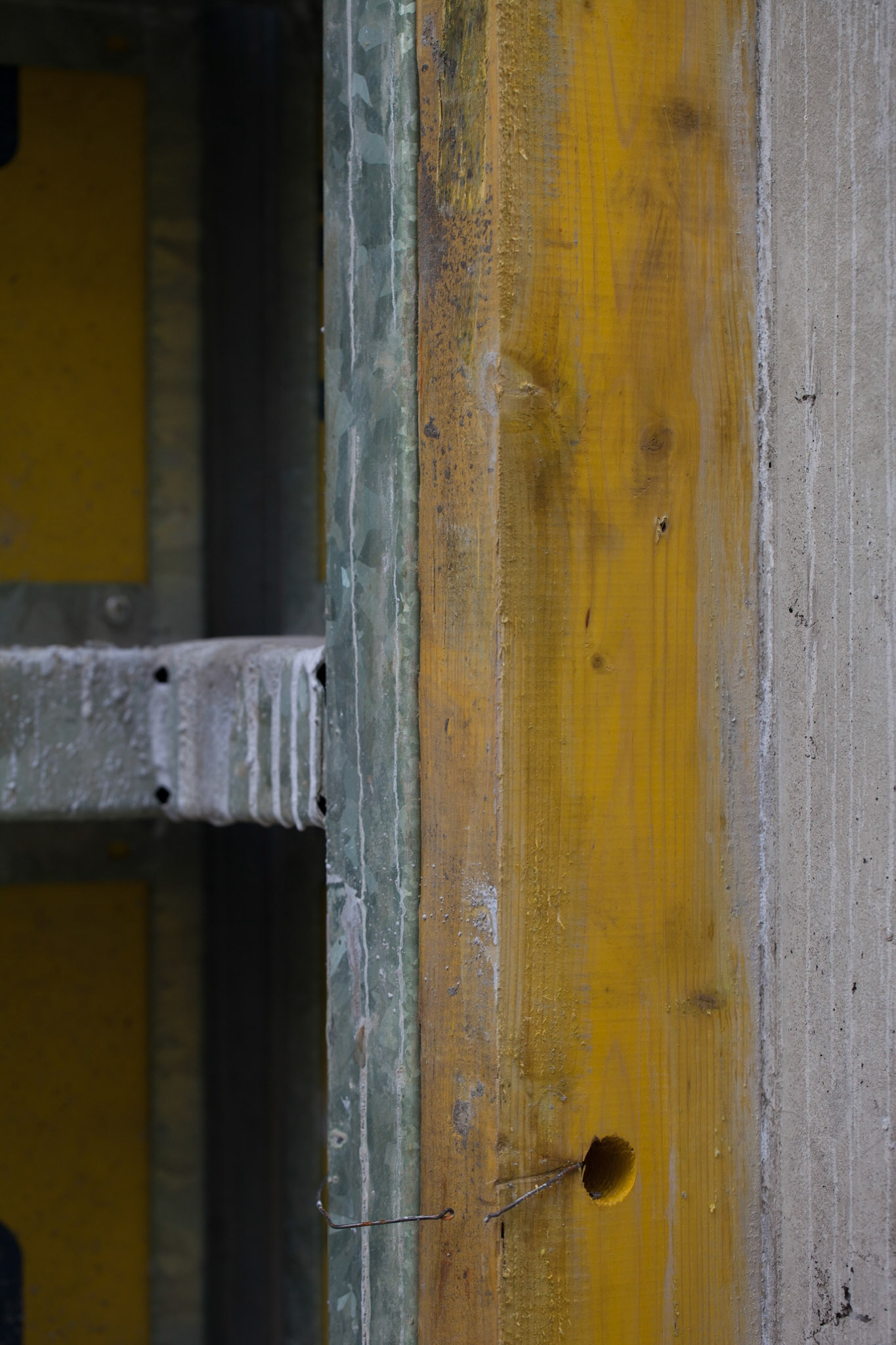 Canon 5D 100mm 1/200 f4.5 ISO 160 (260317)