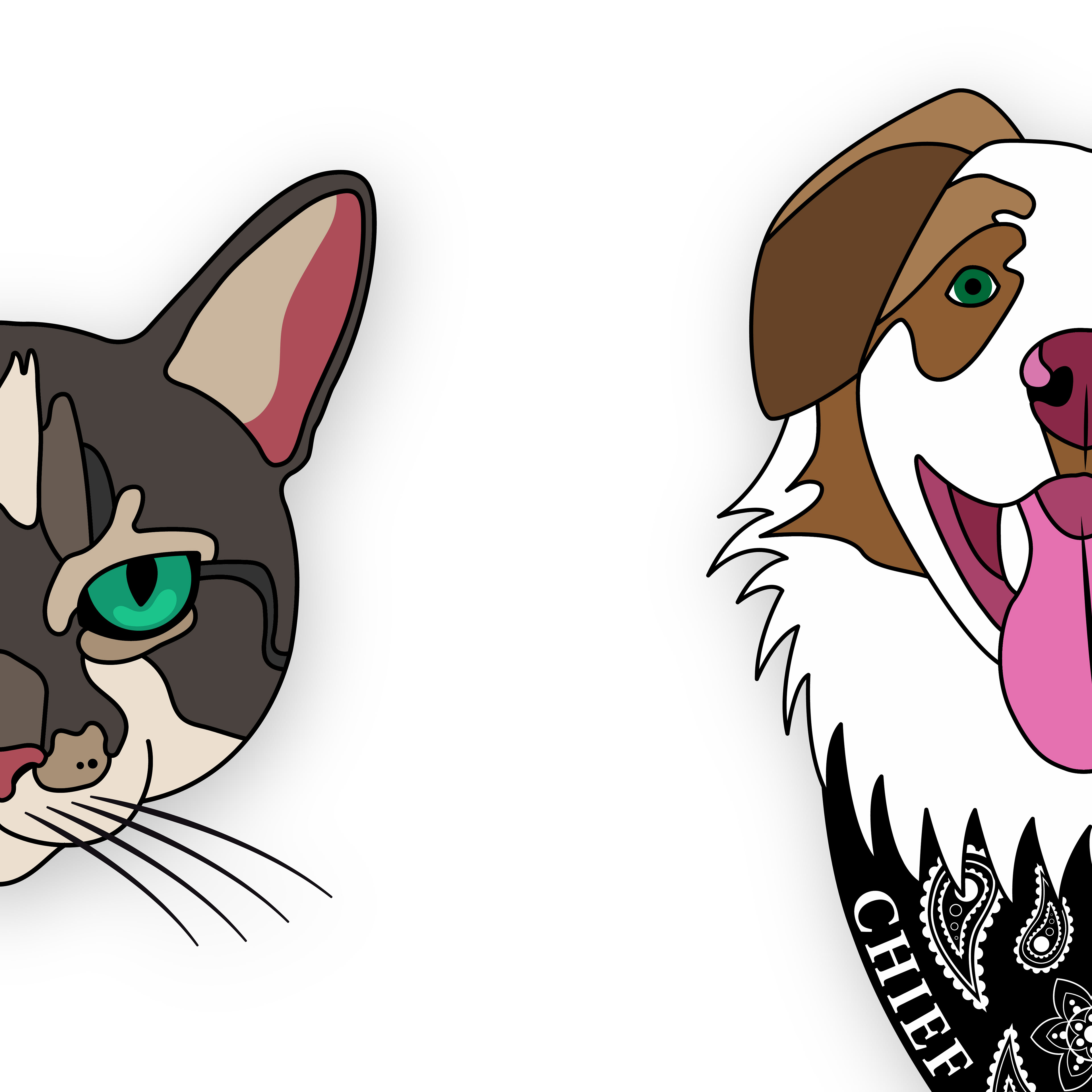 Pet Portraits