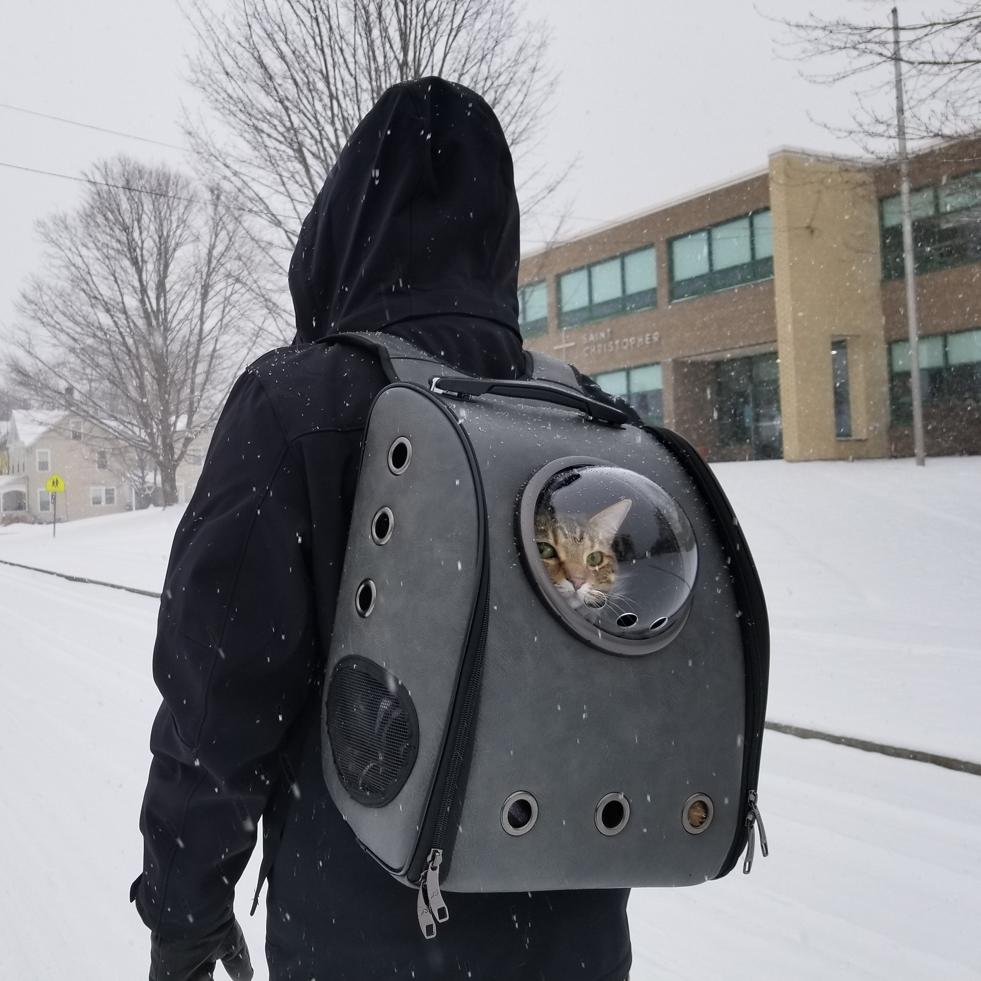 Snowy Walk Feb '18