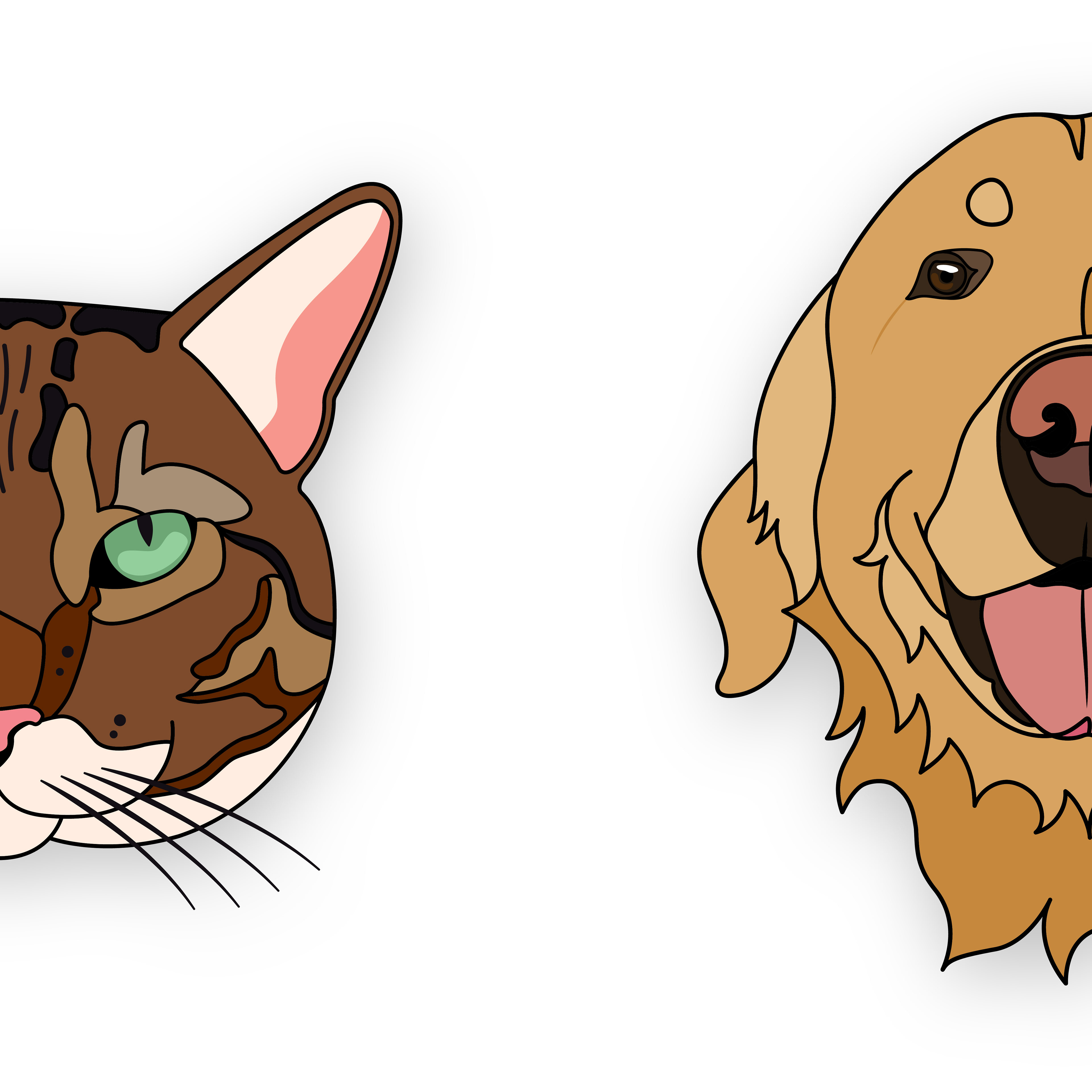 Pet Portraits