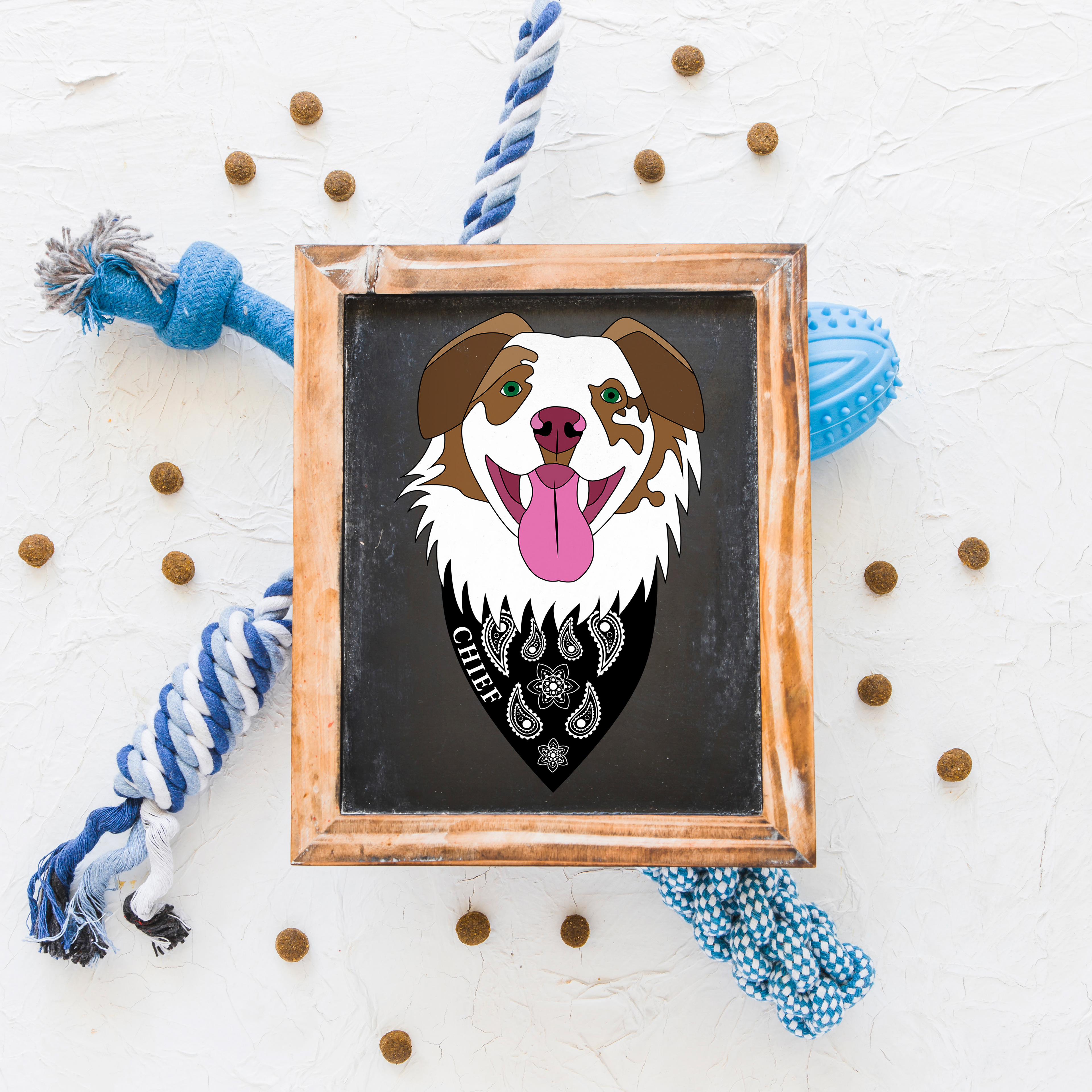 Pet Portraits