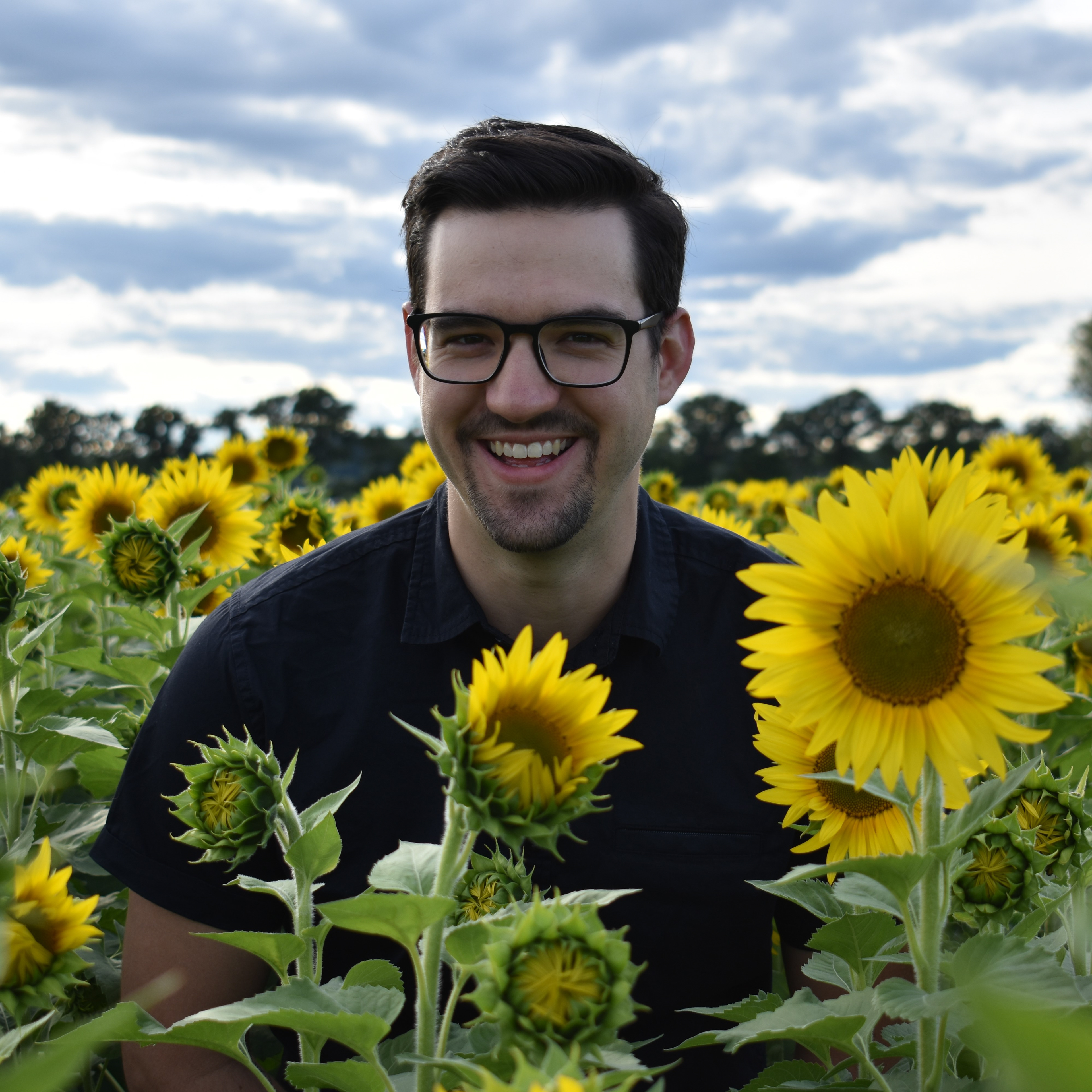 Sunflower Farm Aug ' 20
