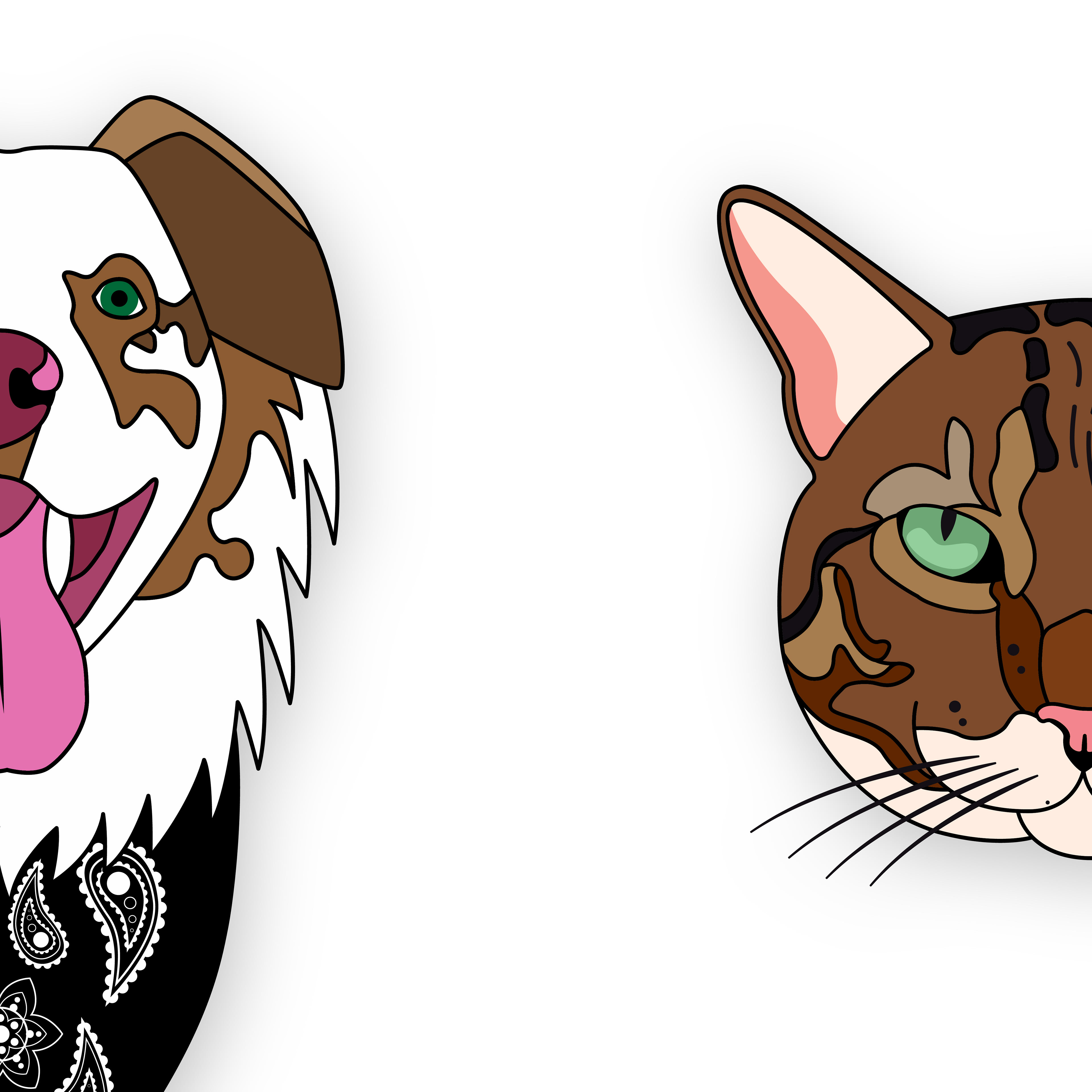 Pet Portraits