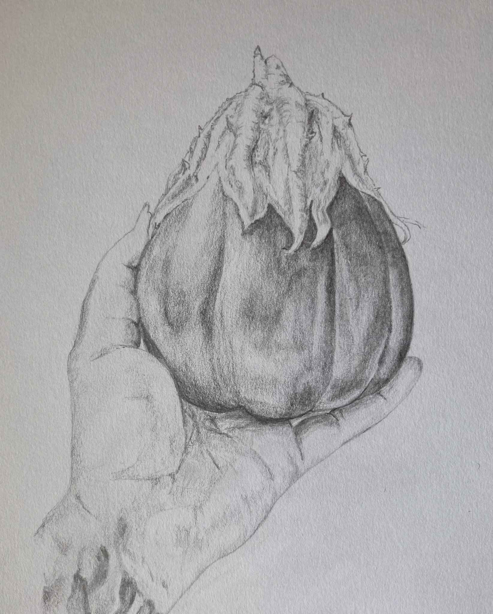 aubergine in hand