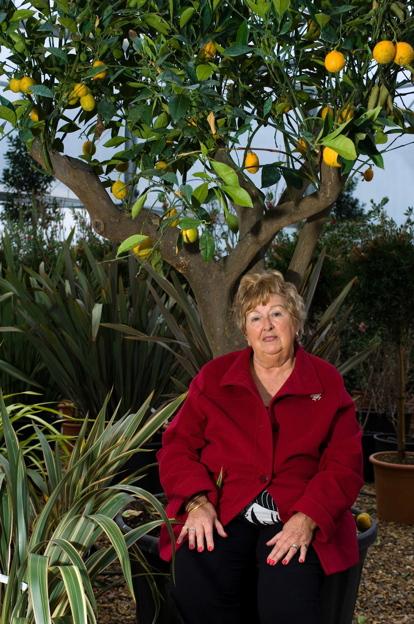The Chelsea Flower show for The Childrens Society