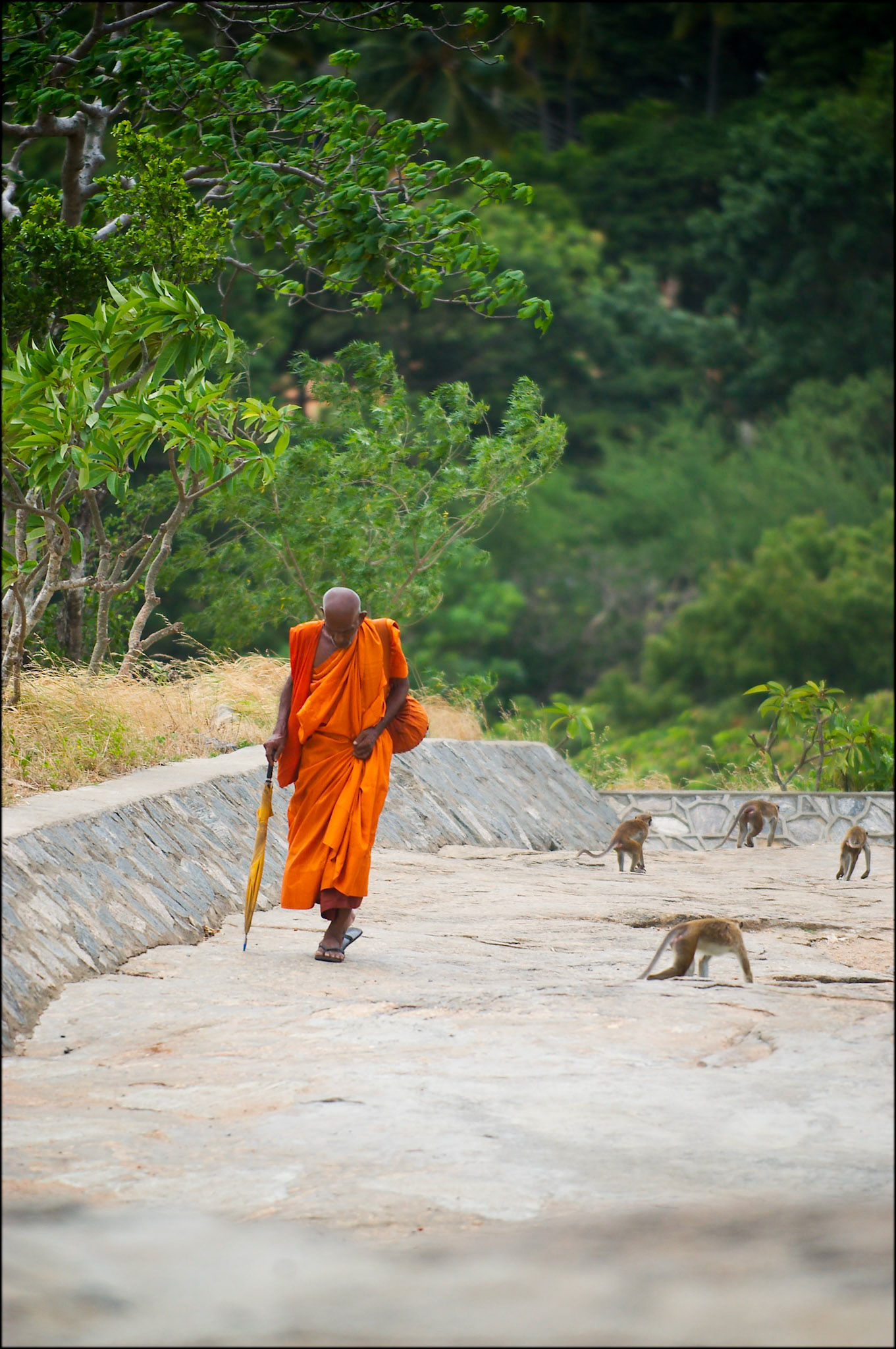 Sri Lanka.
