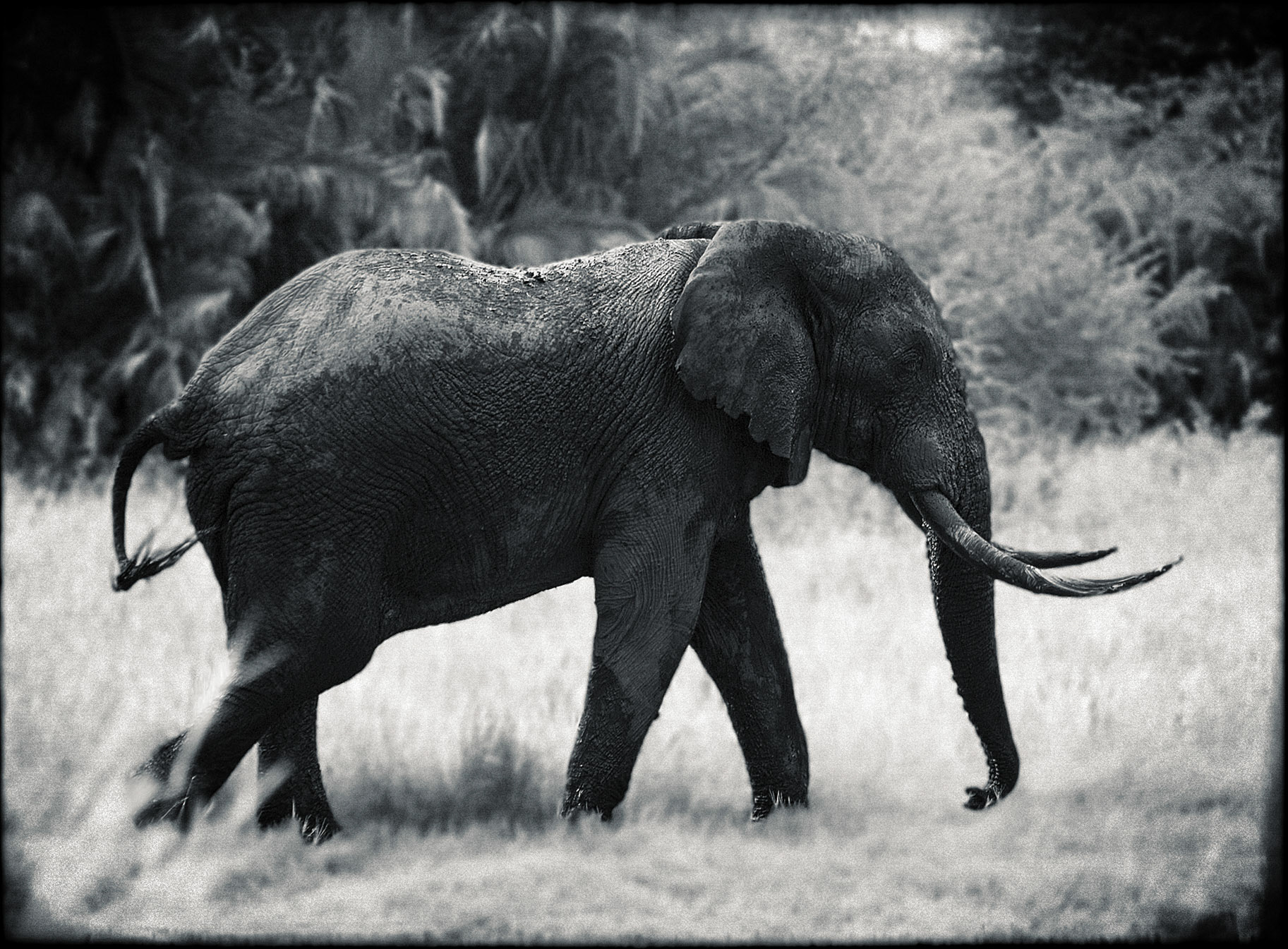 Tenbe, South Africa.