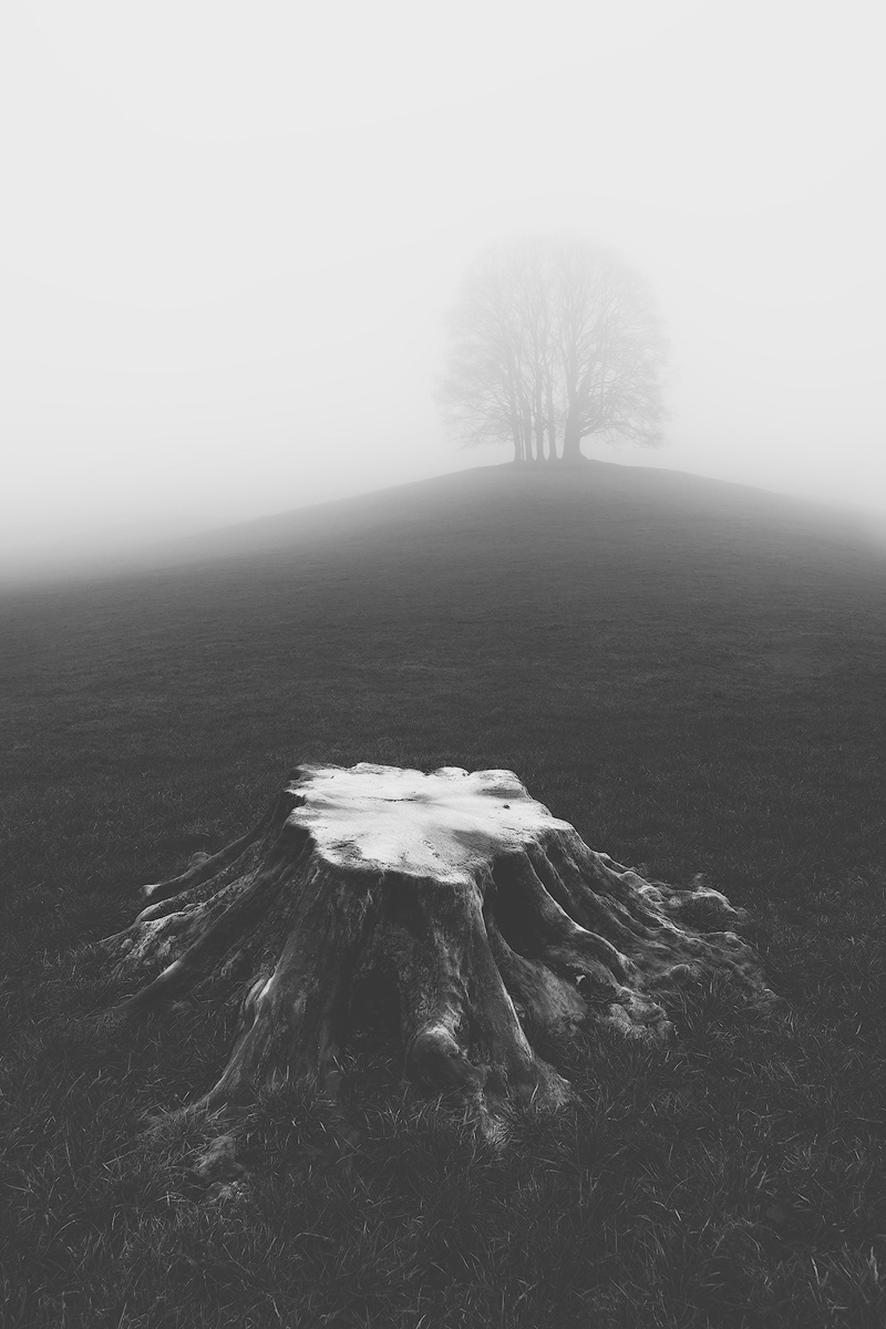 The presence of absence- Yorkshire 2017