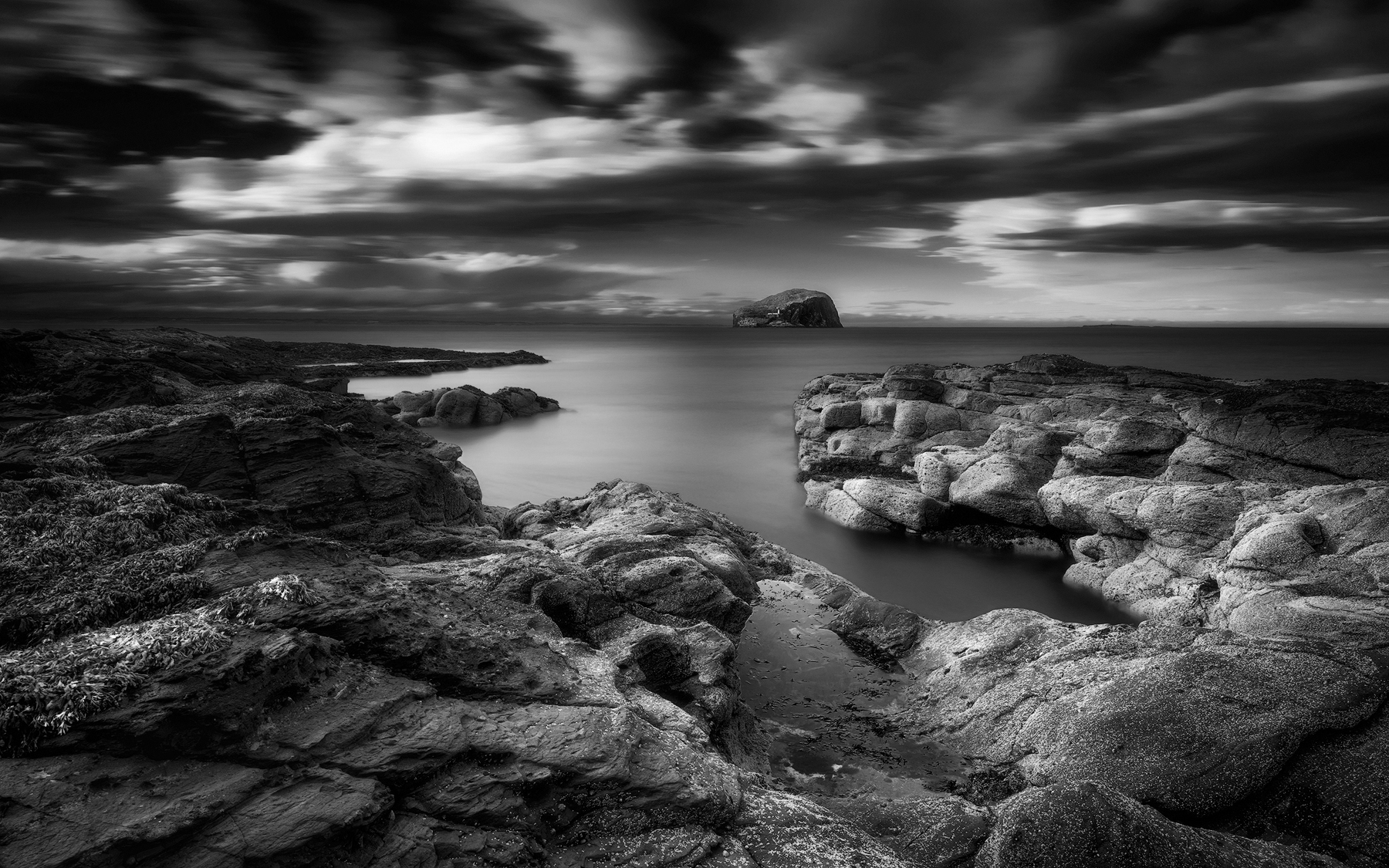 Bass Rock, North Berwick-2016