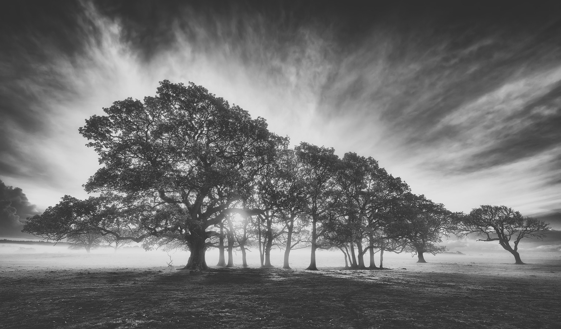 New Forest-Hampshire 2015
