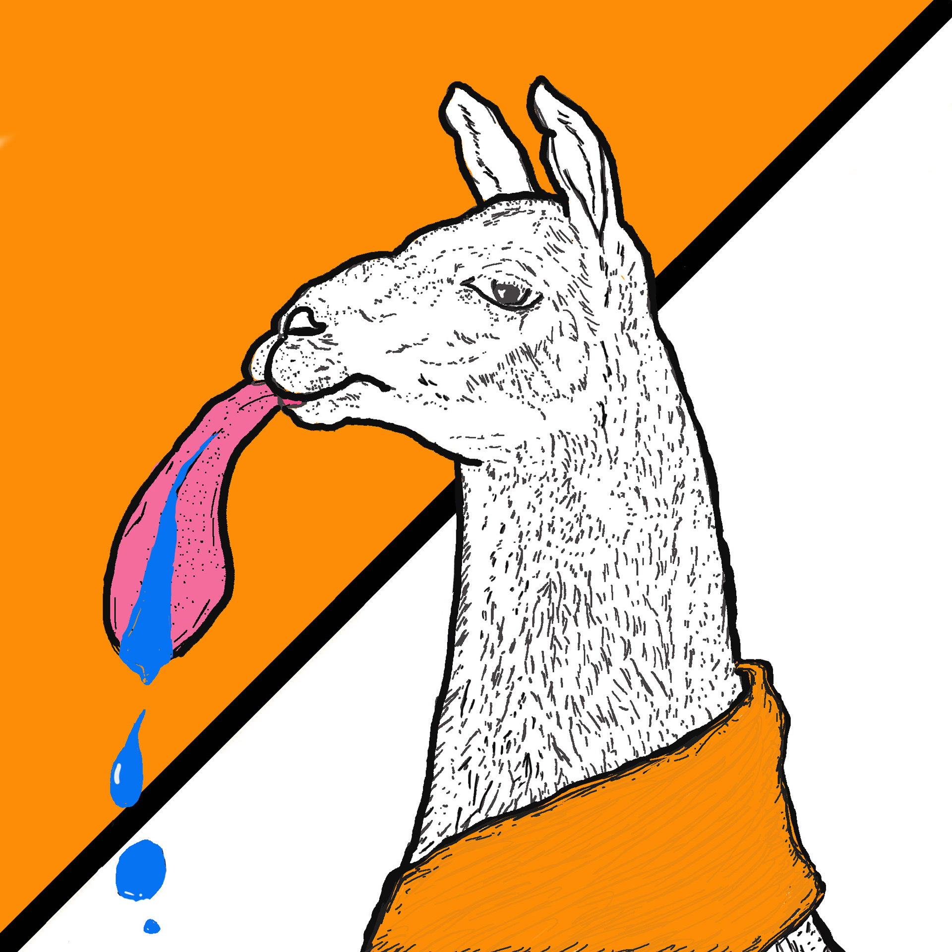Dali LLama