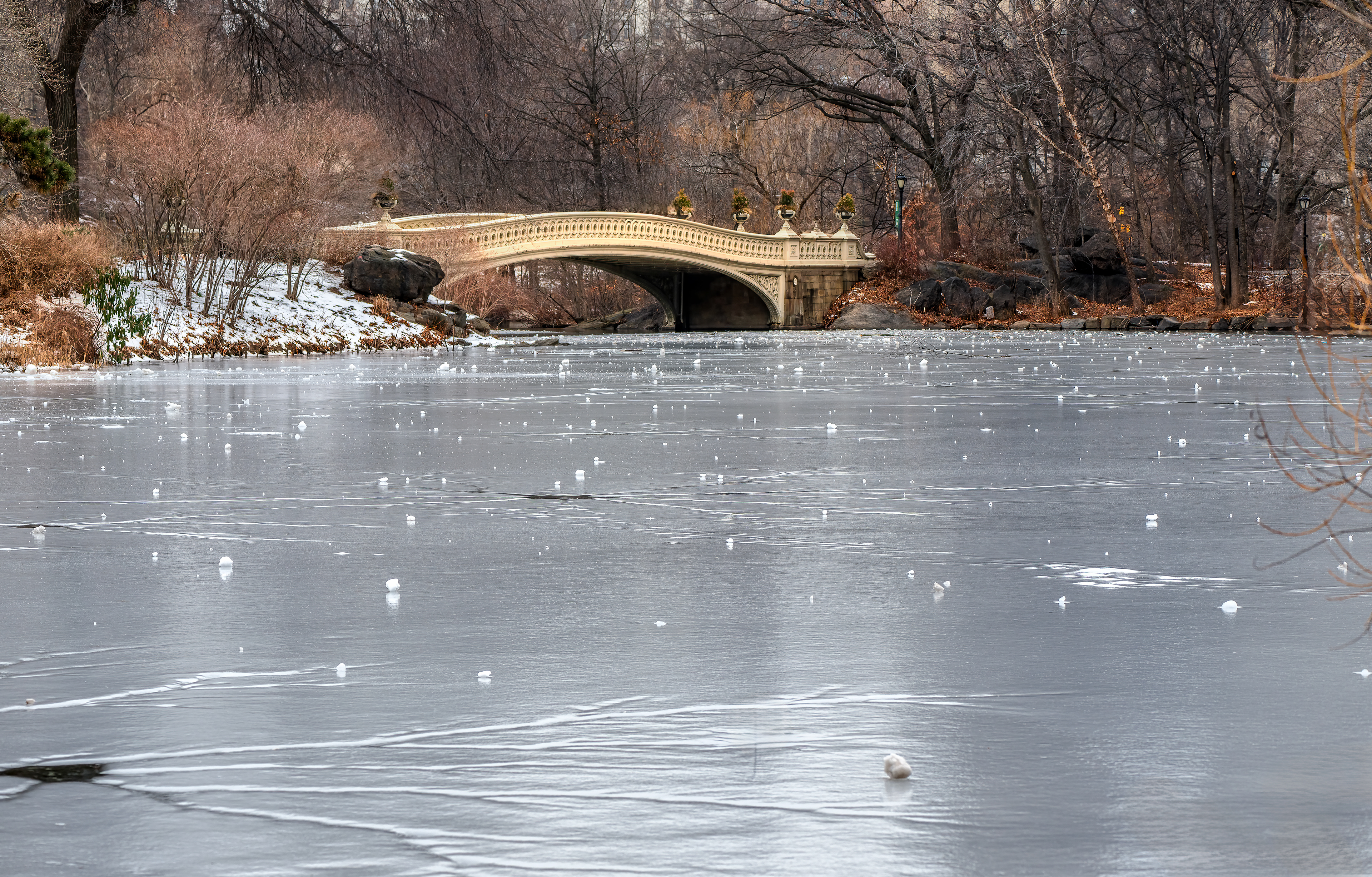 Central Park Lake Frozen Winter Bridge New York World NYC Urban Cityscape