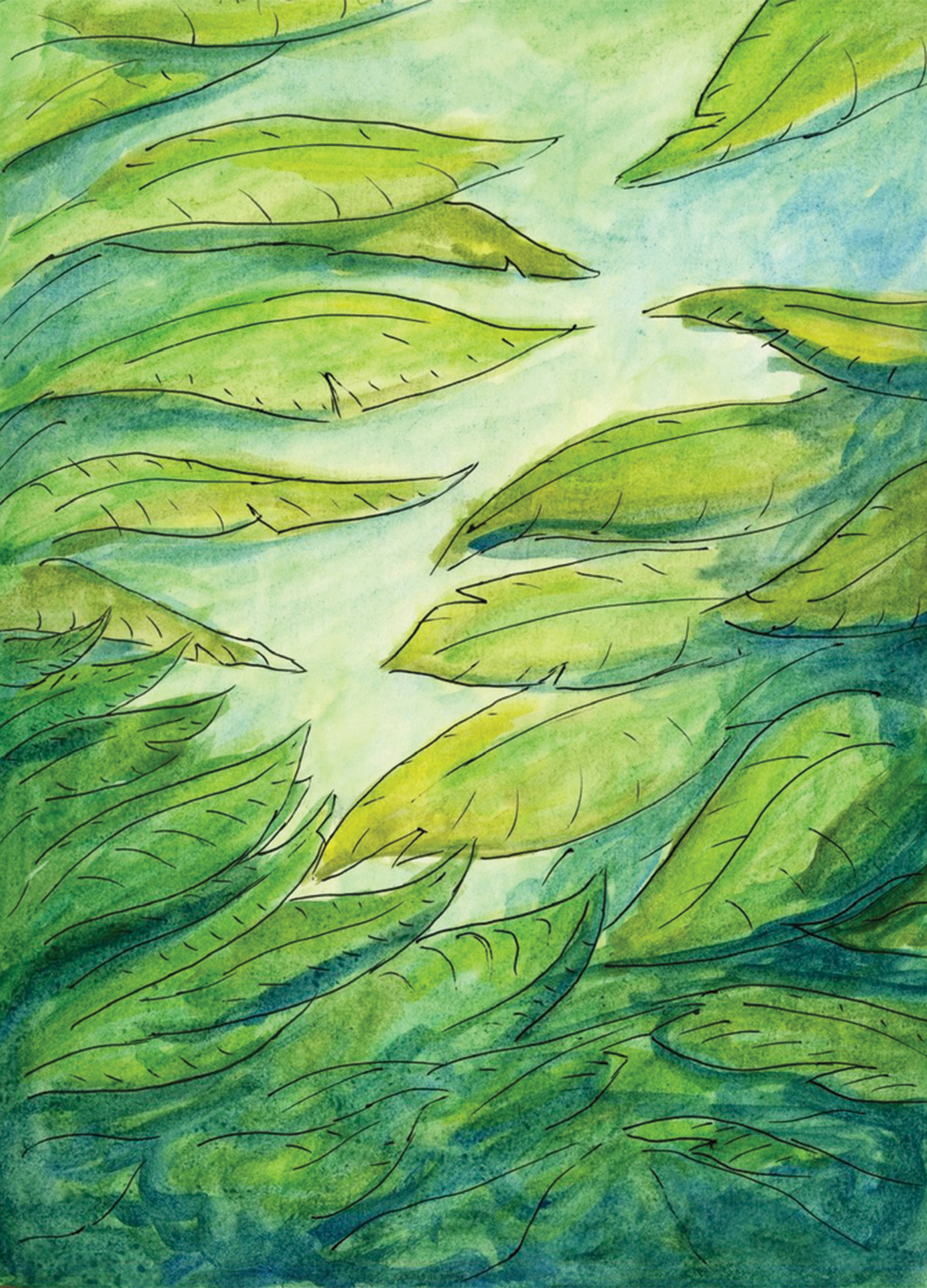 water color 8.5 x 11 made 2022