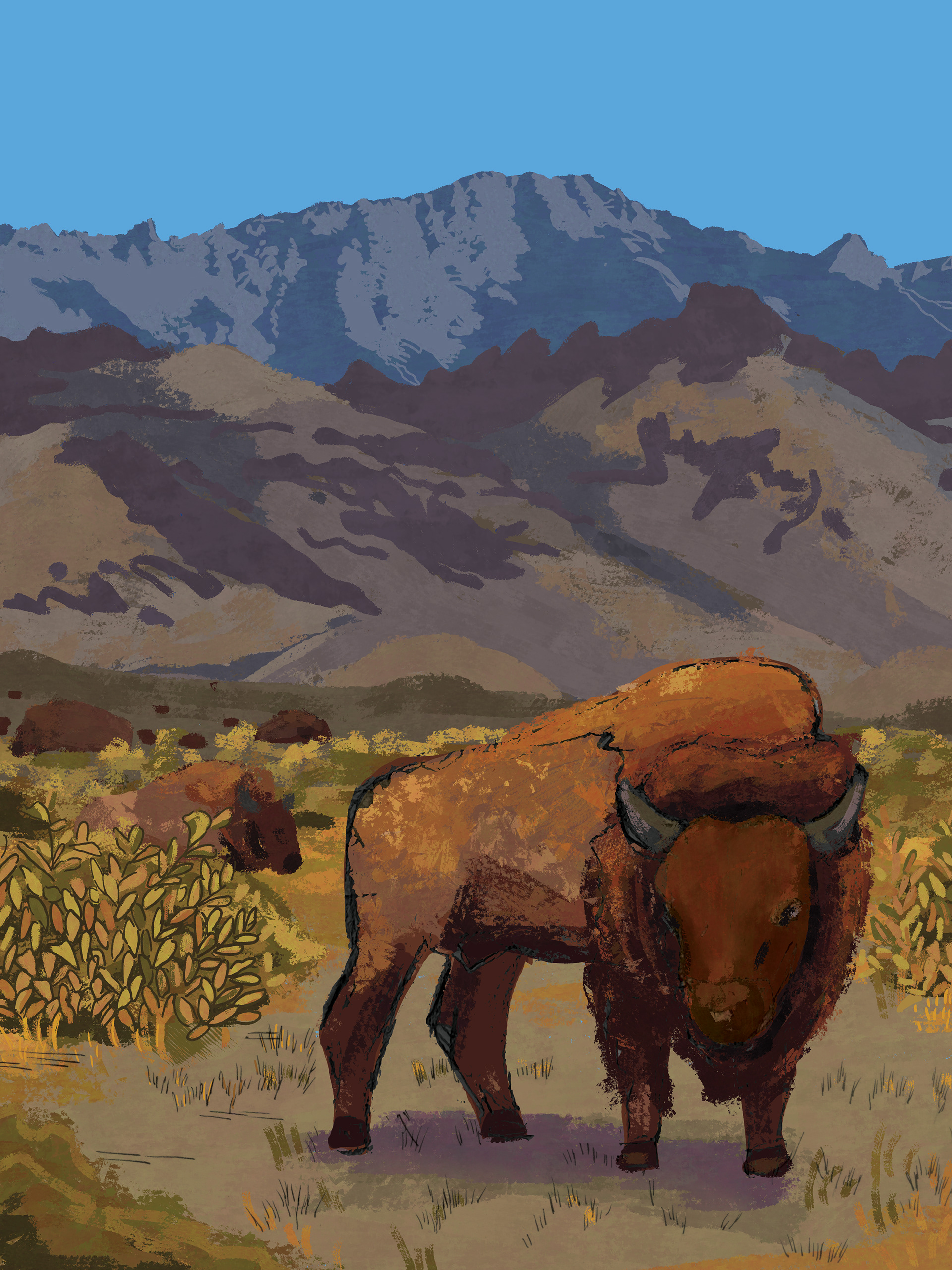 Wasco Museum Commission, Desert Buffalo, Digital Illustration, 2024