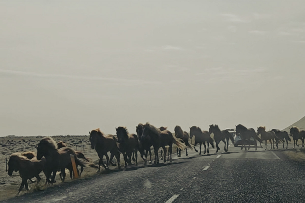 Iceland, 2023.
