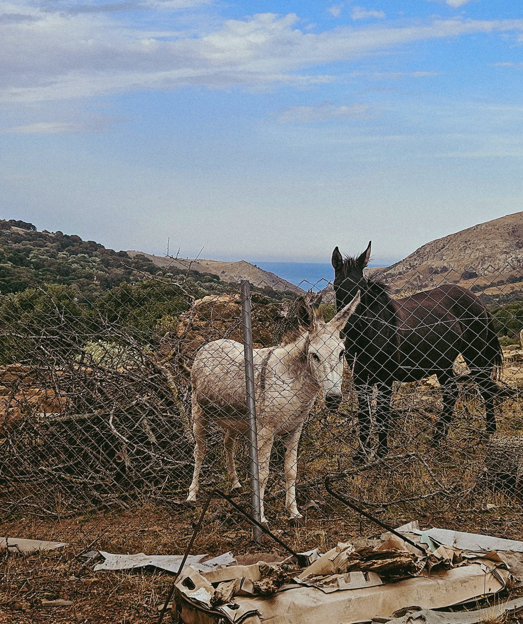 Imbros, 2024.