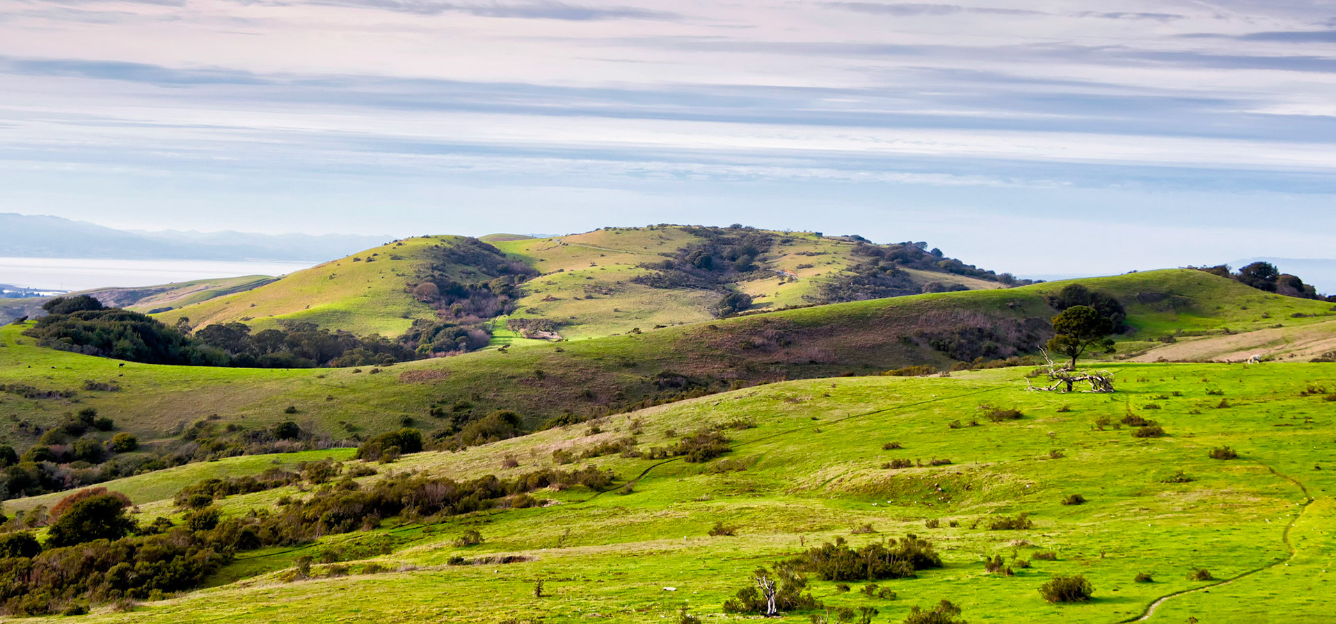 Over Hill and Dale