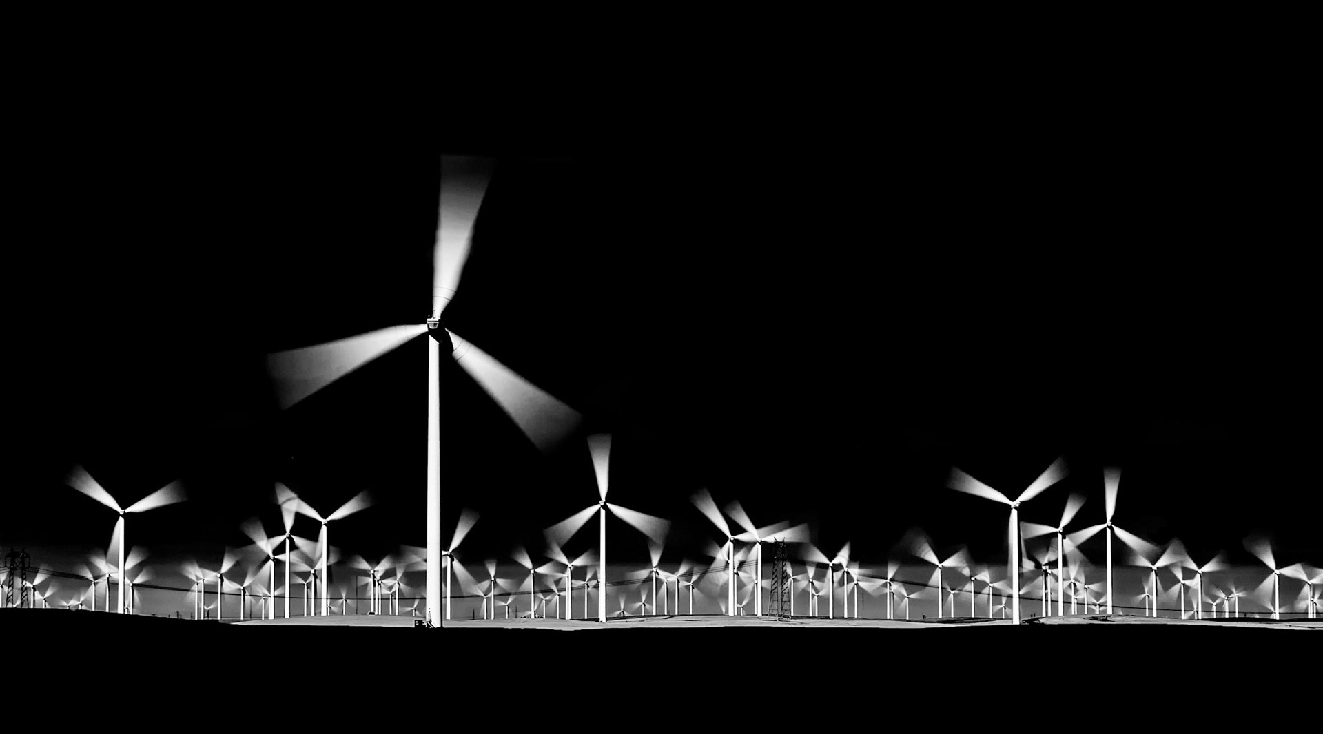 Wind Forest