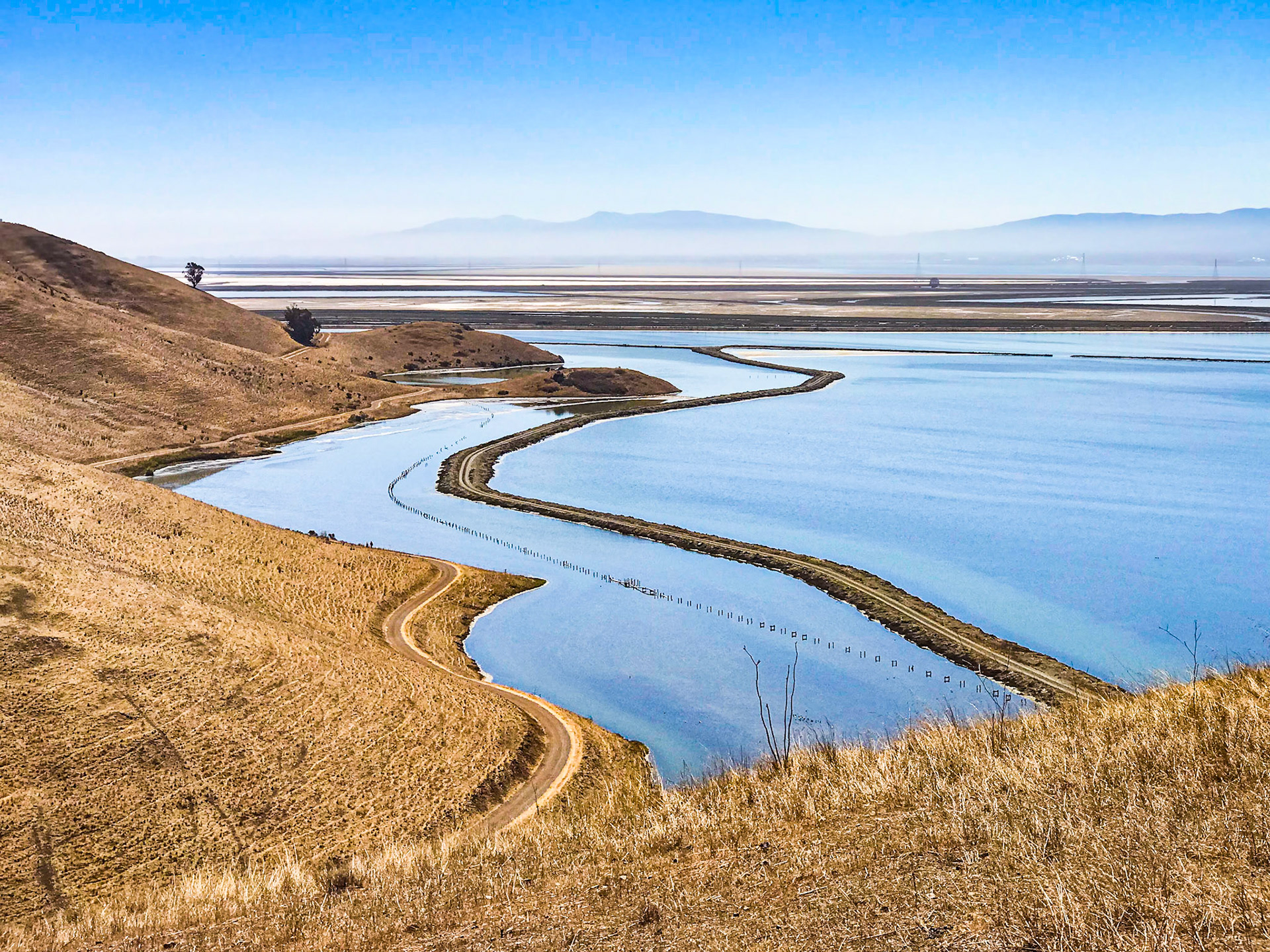 Salt Ponds
