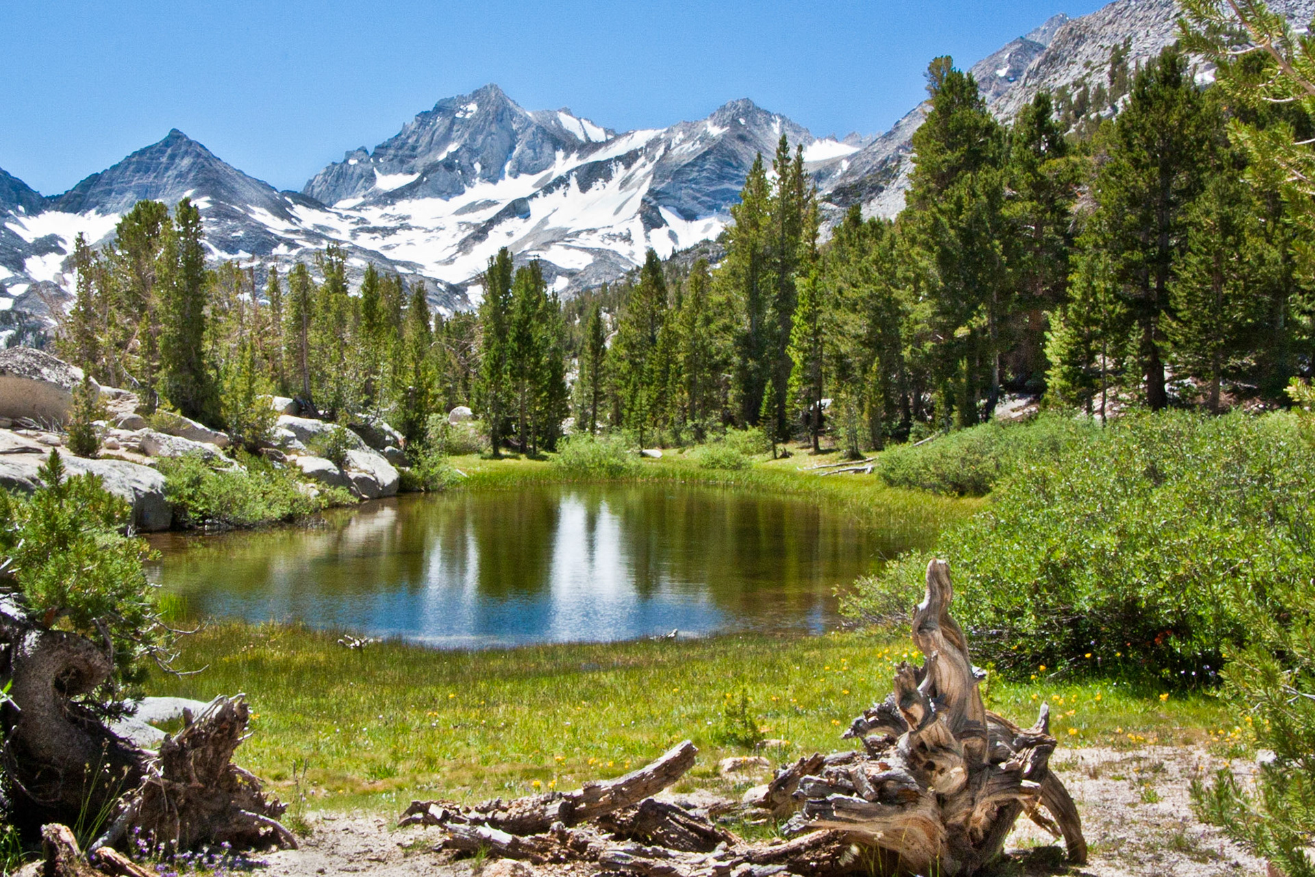 Tarn Below the Peak