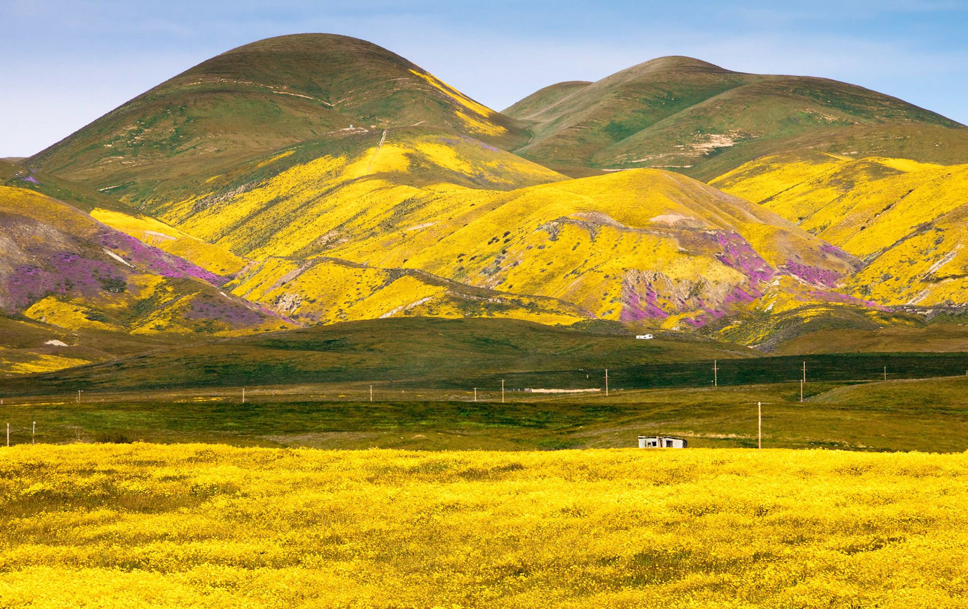 Carrizo Plain