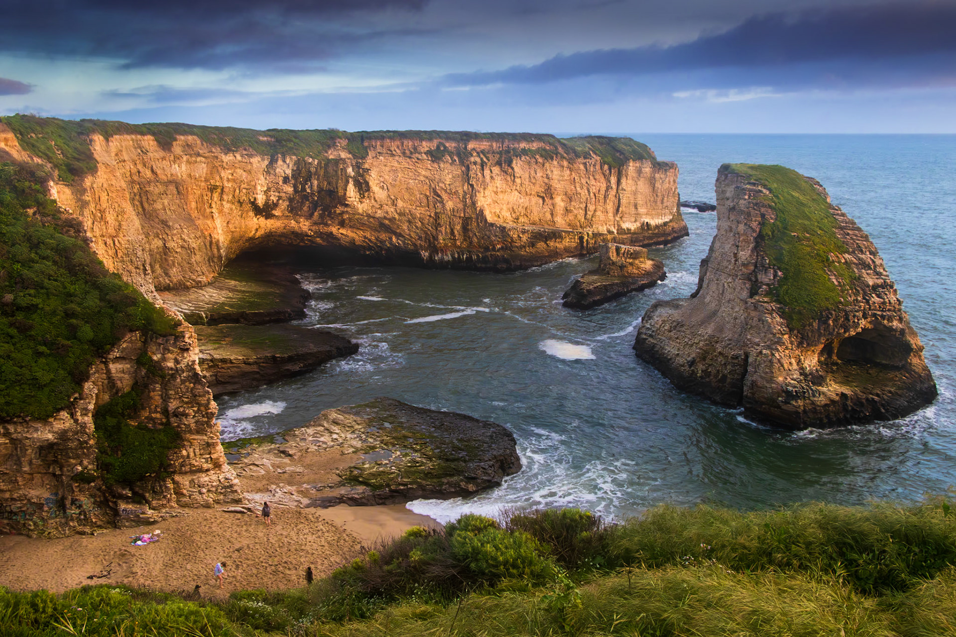 The Cove