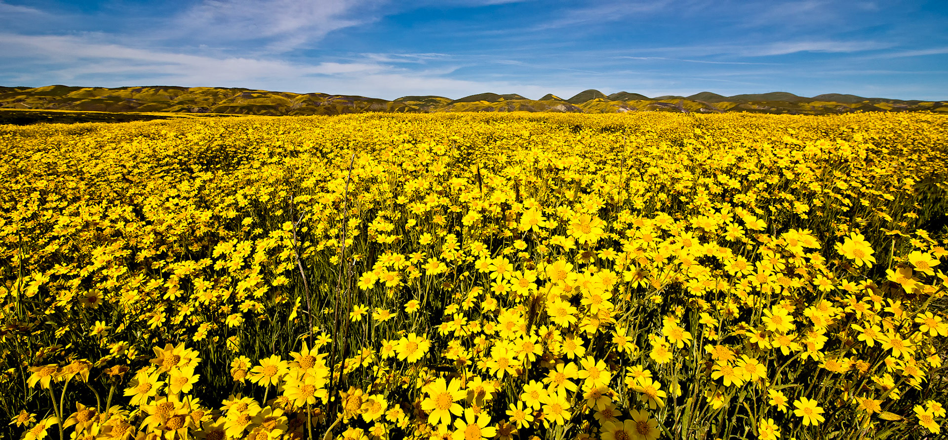 Carrizo Plain