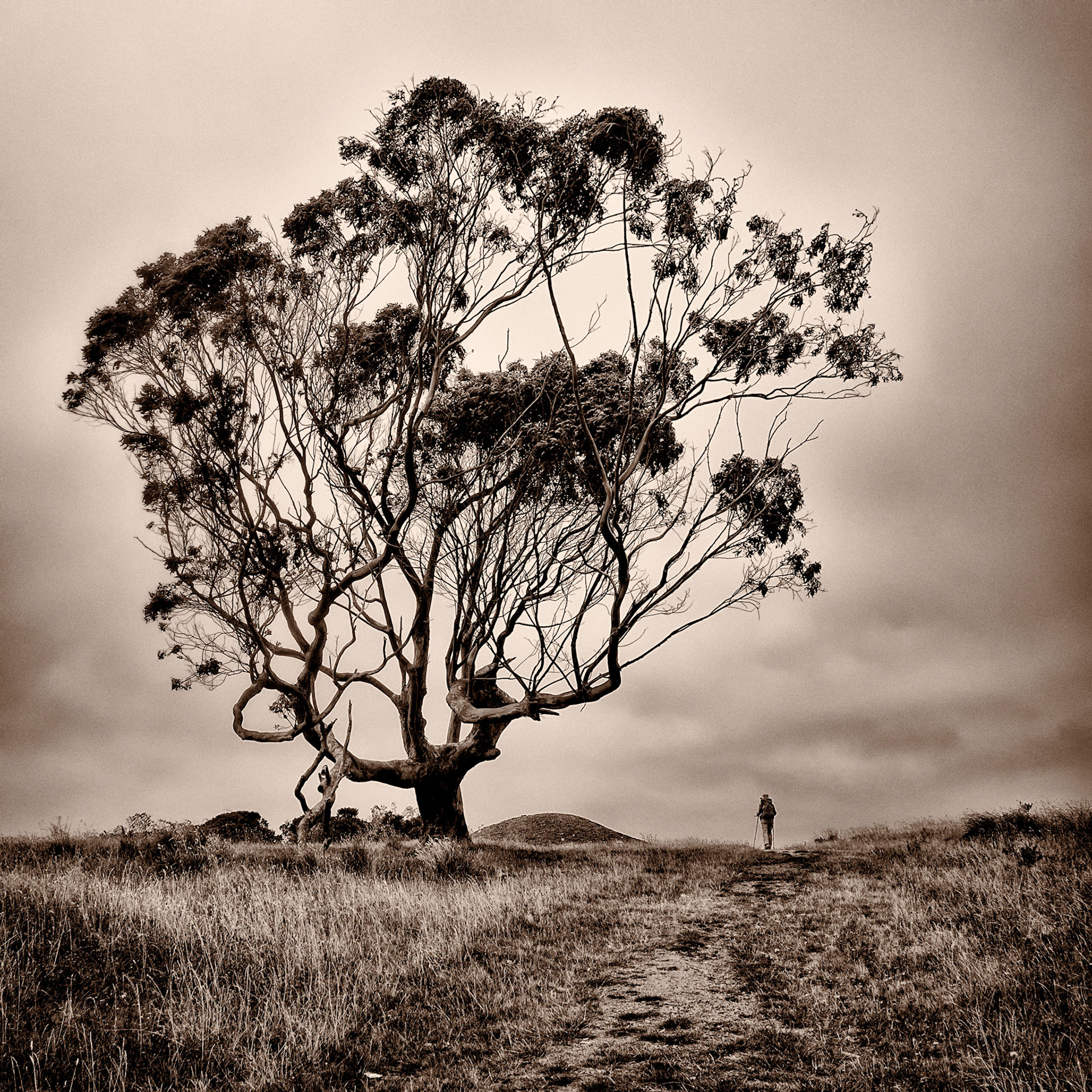 On the Road to Nowhere