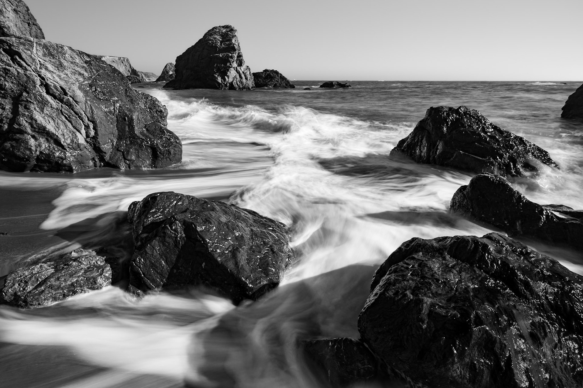 The Sea Alive