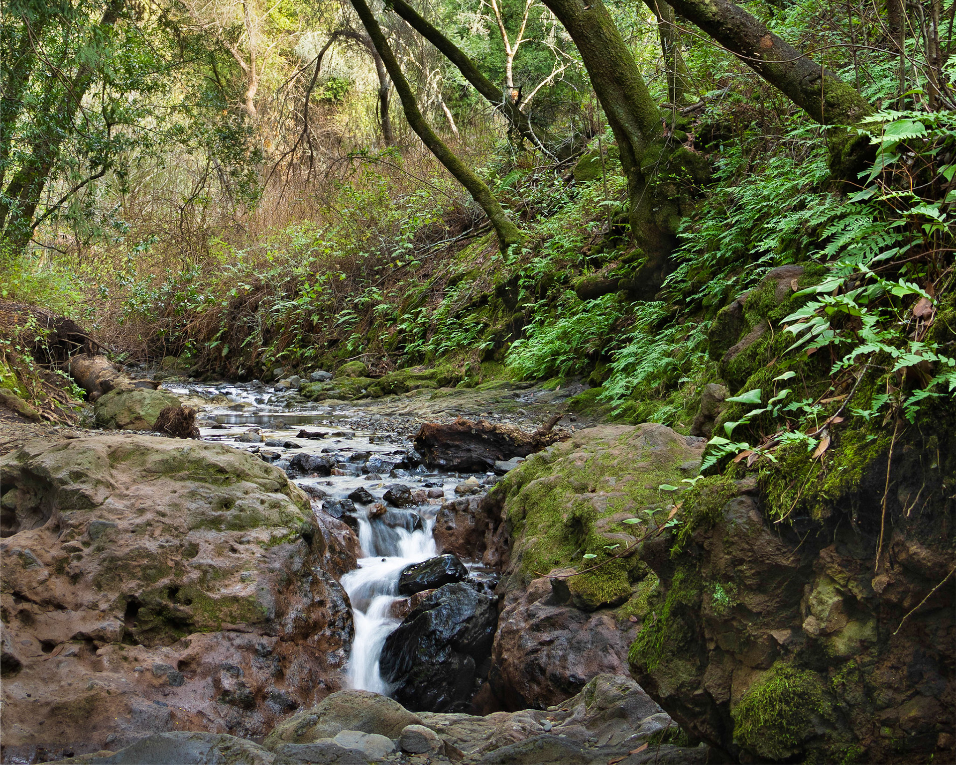 Upper Wildcat Creek