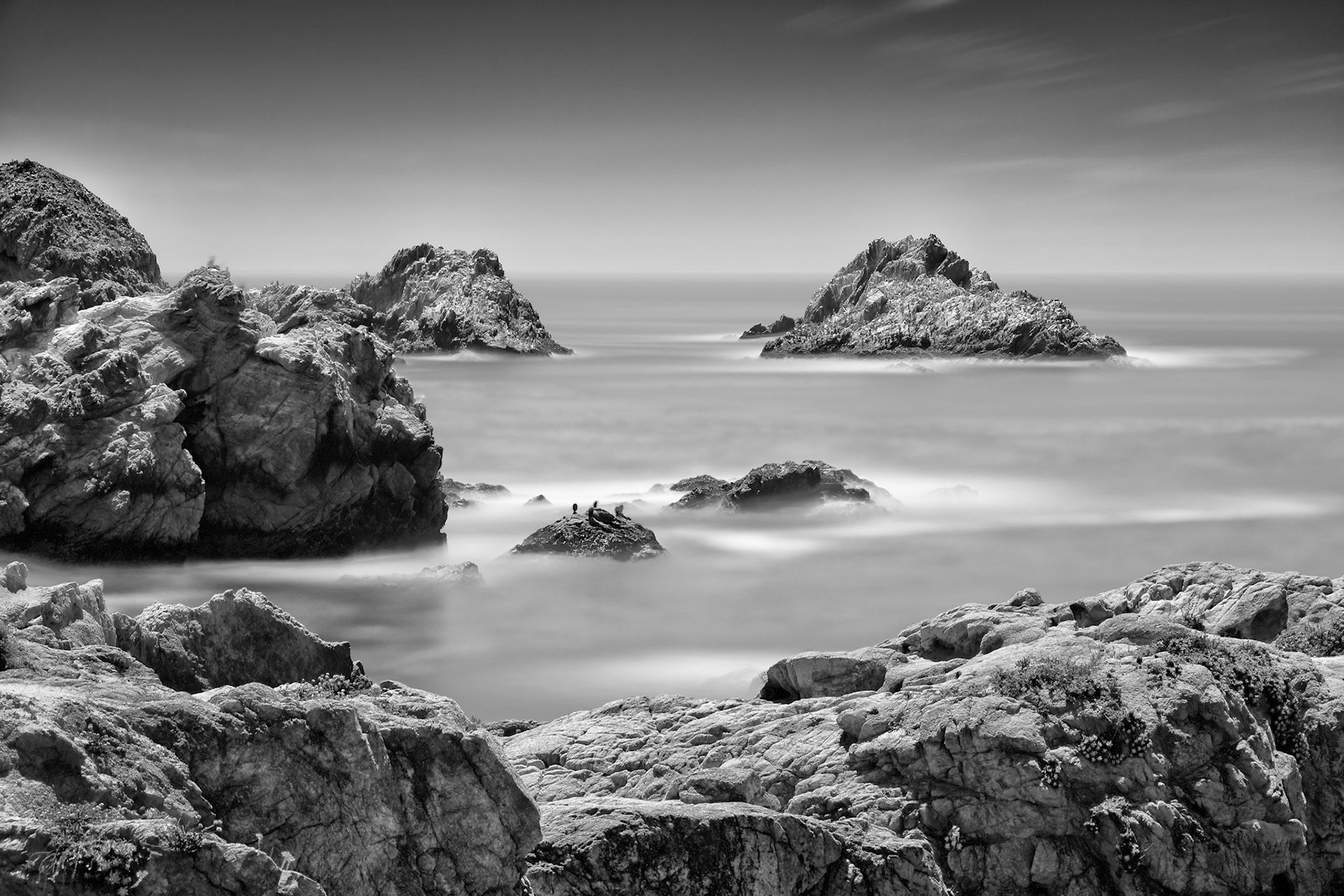 Beyond Bird Rock