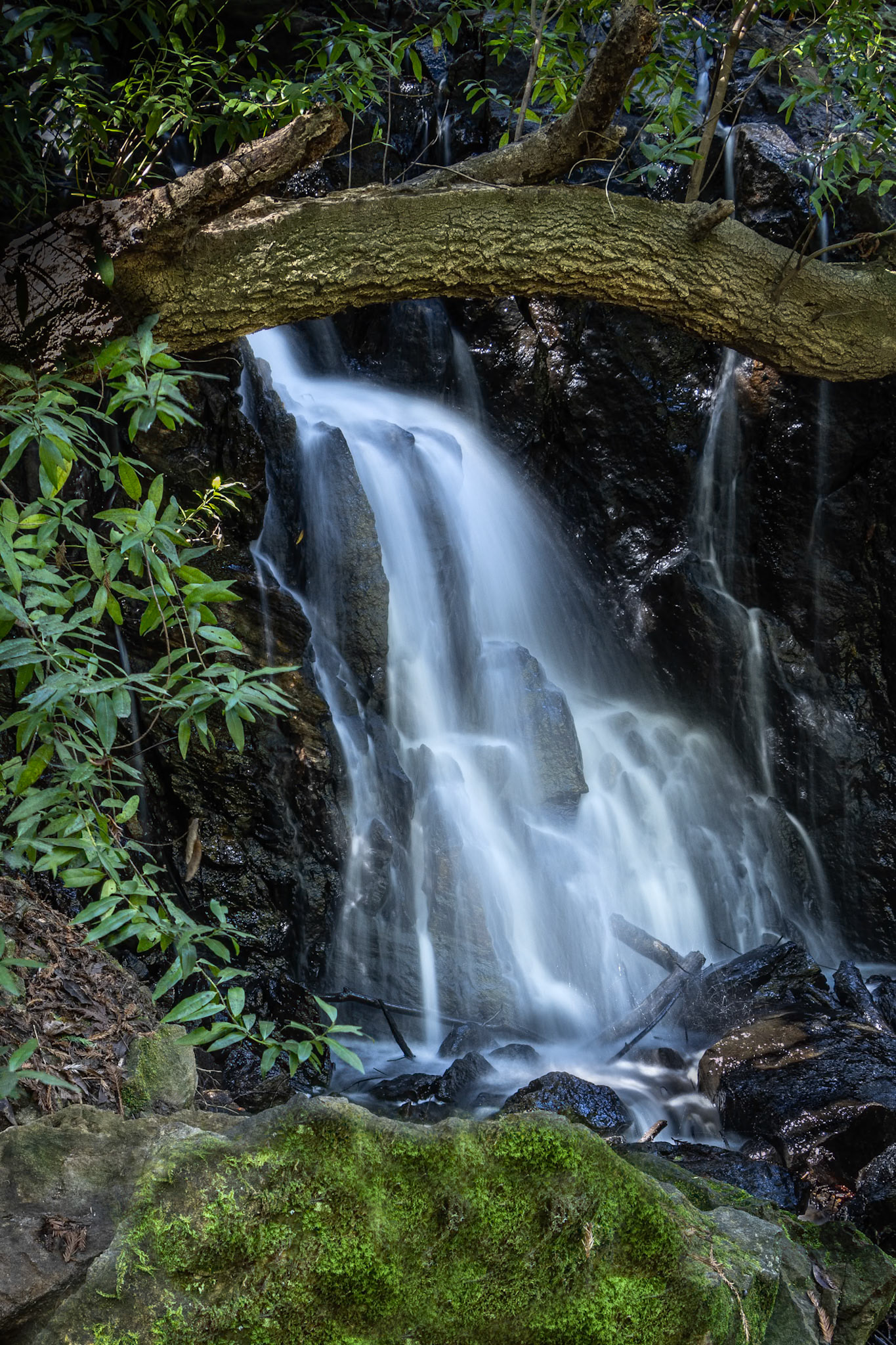 Wildcat Falls