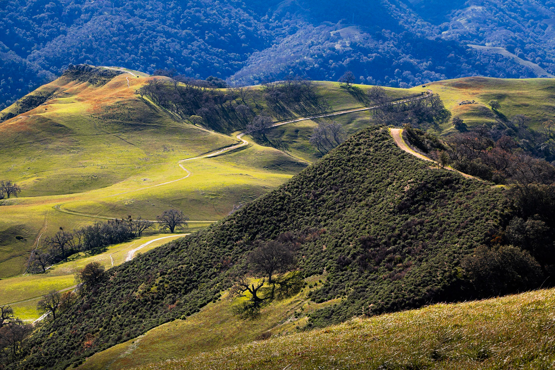 Sunol Regional Wilderness