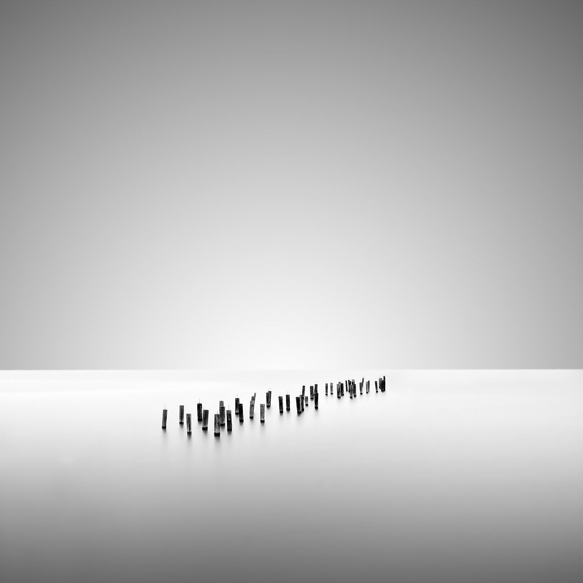 Flock