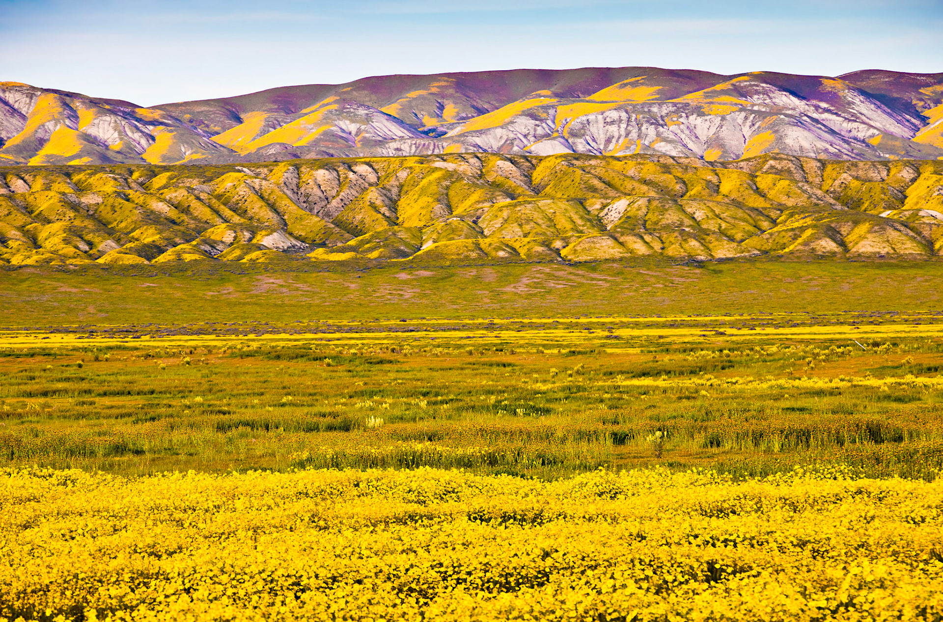 More Carrizo Plain